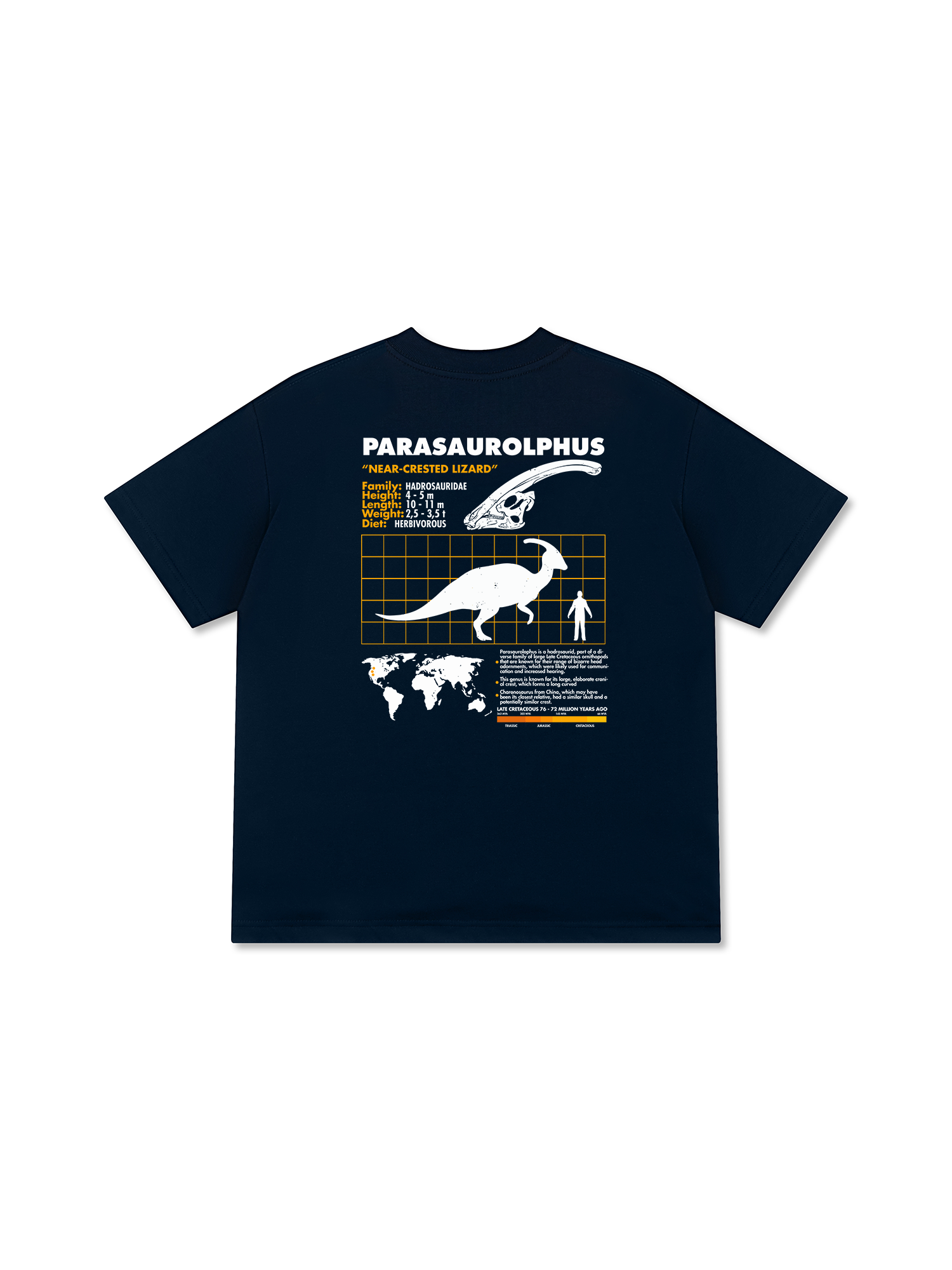 Áo Thun Relaxed Fit Analysis Table Parasaurolphus