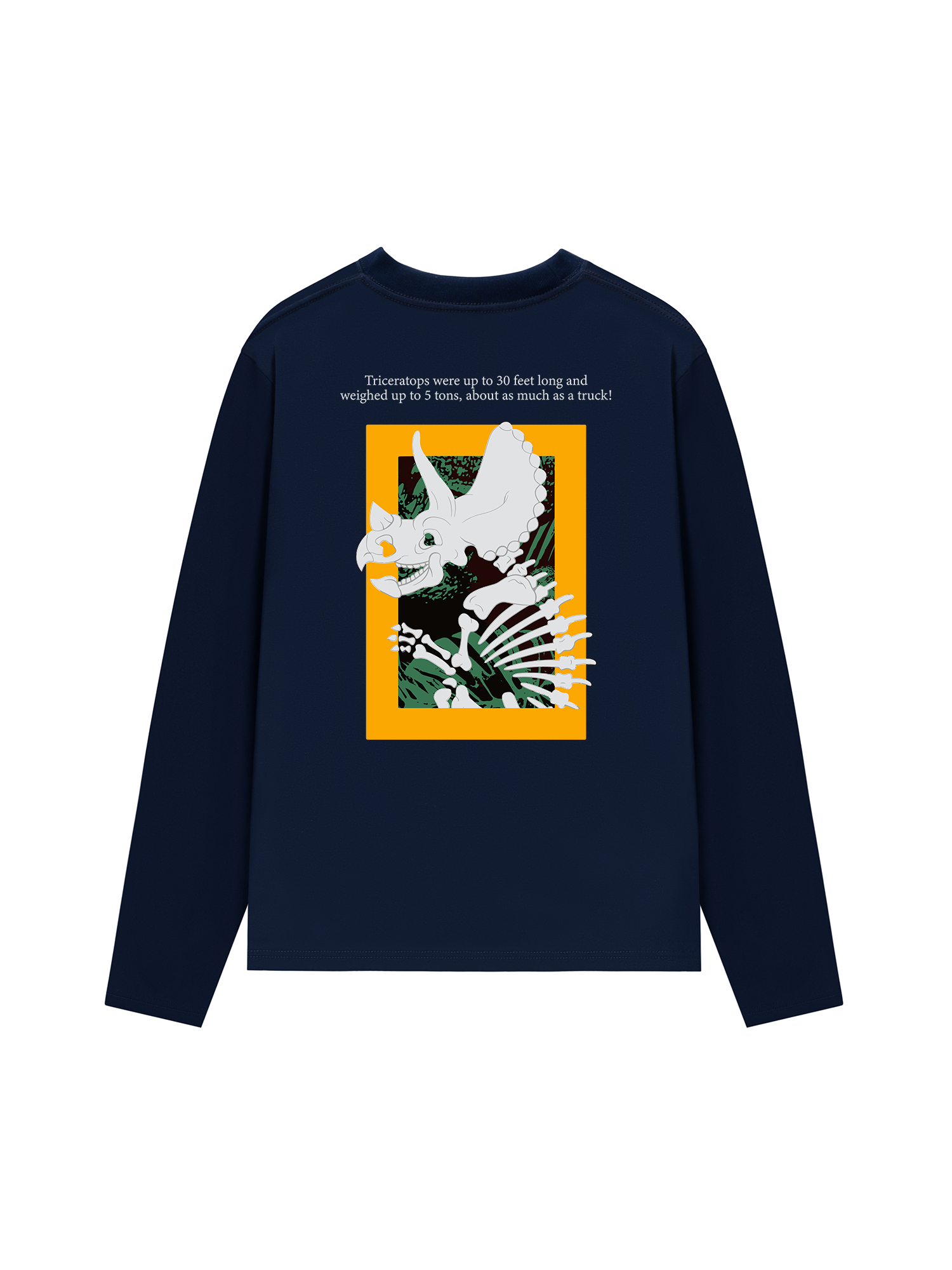 Áo Thun Dài Tay Wild Life Triceratops