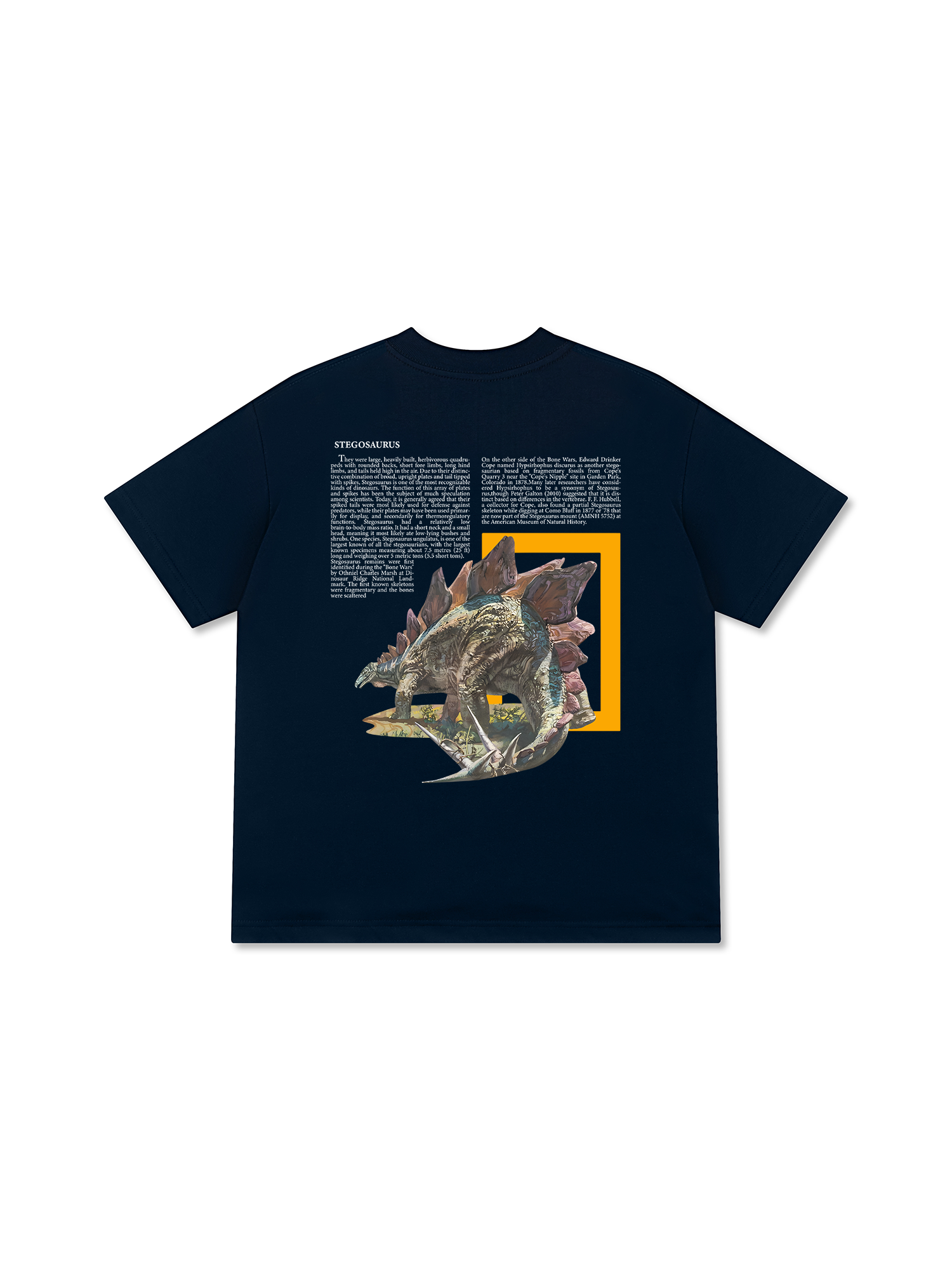 Áo Thun Relaxed Fit Wild Life Stegosaurus