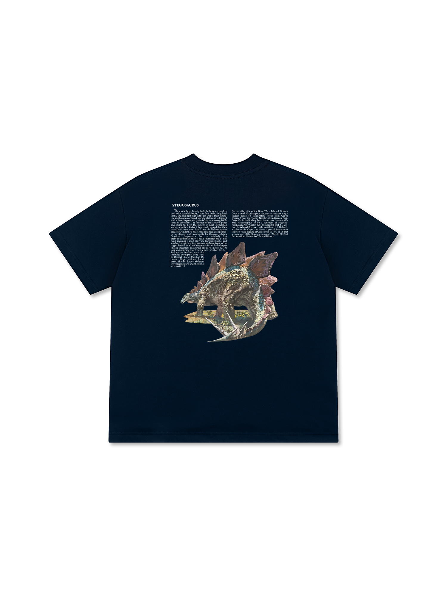 Áo Thun Relaxed Fit Stegosaurus Archive