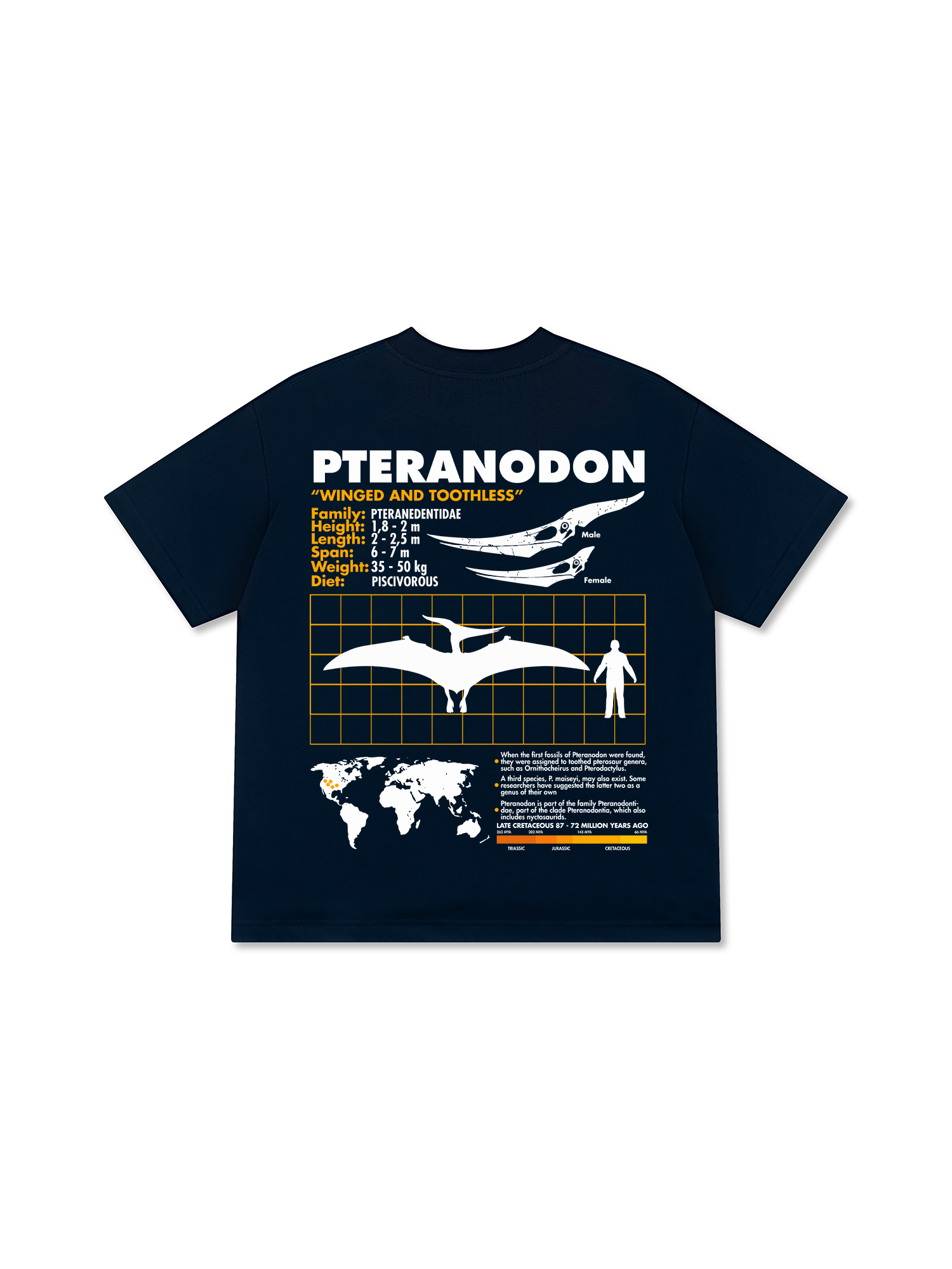 Áo Thun Relaxed Fit Wild Life Analysis Table Pteranodon