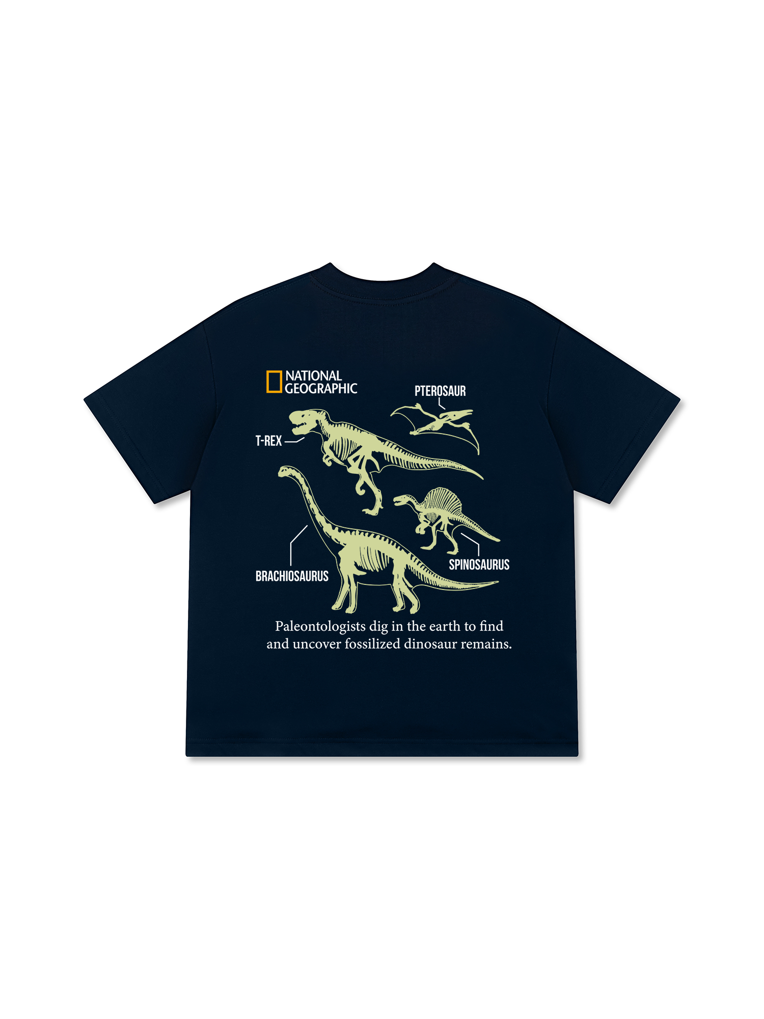 Áo Thun Relaxed Fit Wild Life World Of Dino