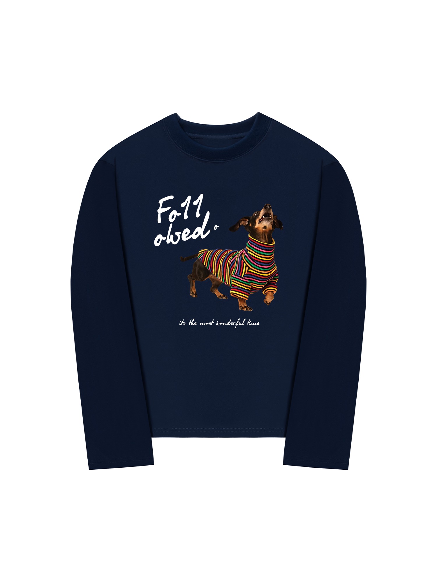 Áo Thun Dài Tay Rainbow Sweater With Dog