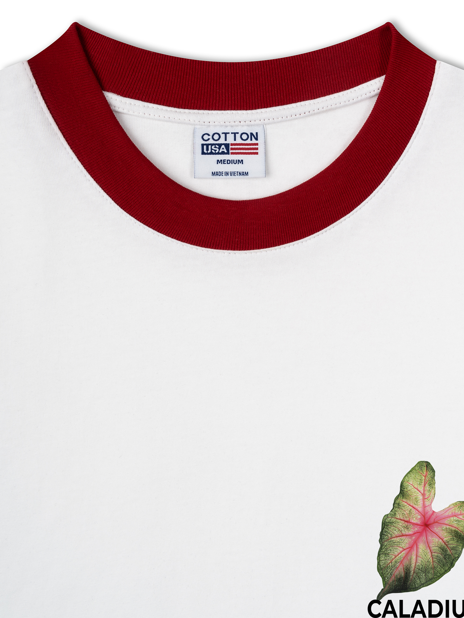 Áo Thun Ringer Relaxed Fit Tropical Leaf