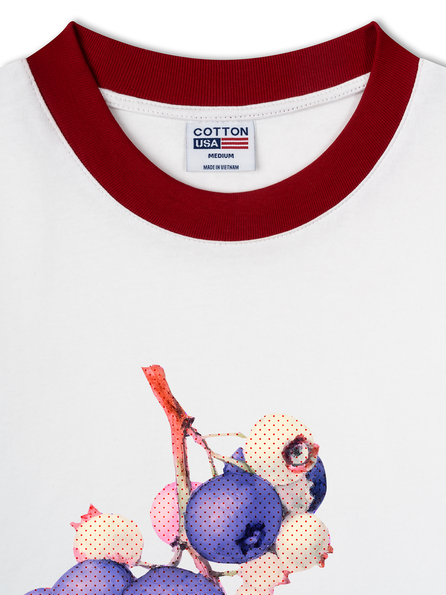 Áo Thun Ringer Relaxed Fit Tropical Blue Berry Retro