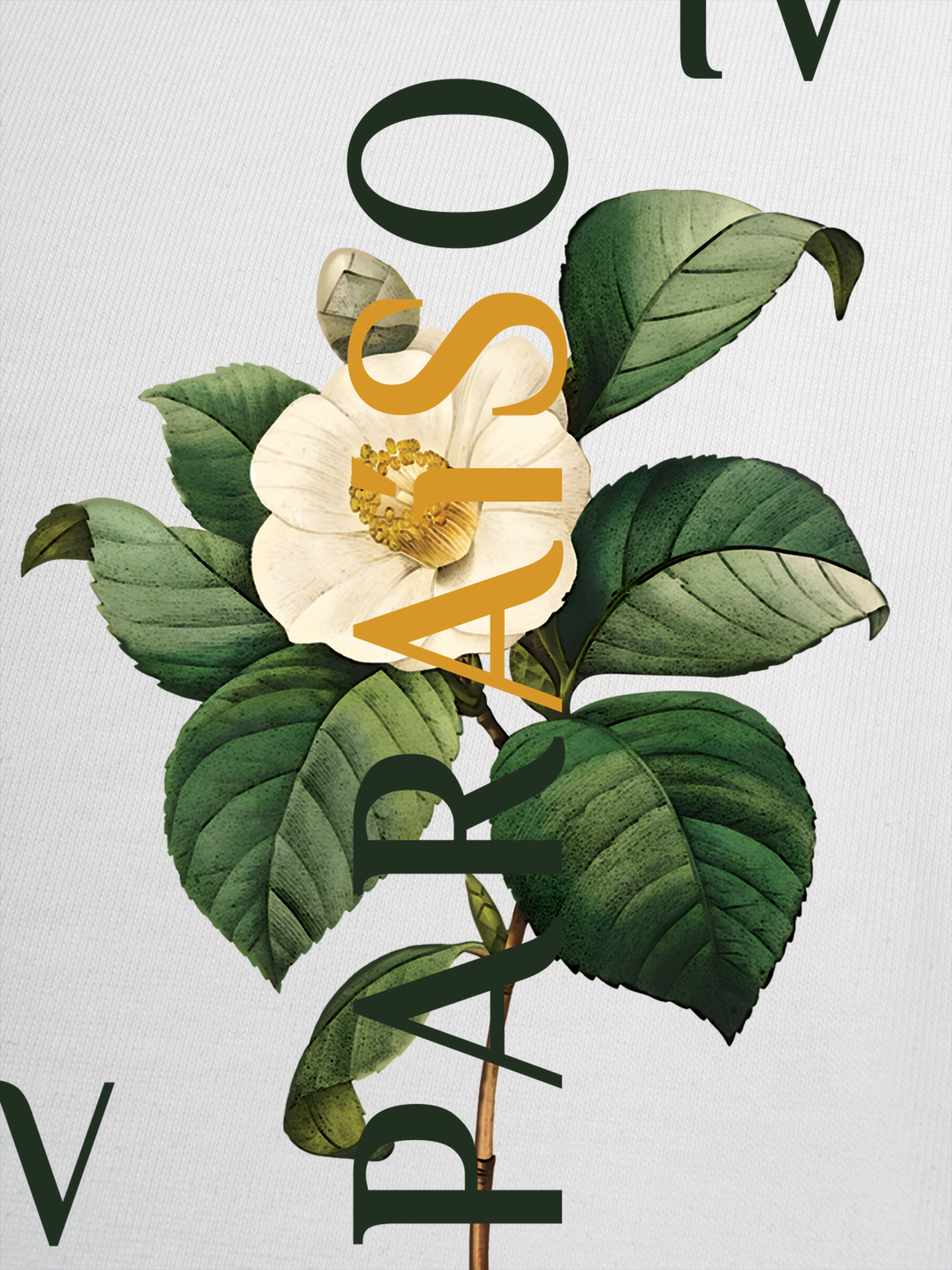 Áo Thun Ringer Relaxed Fit Paraíso