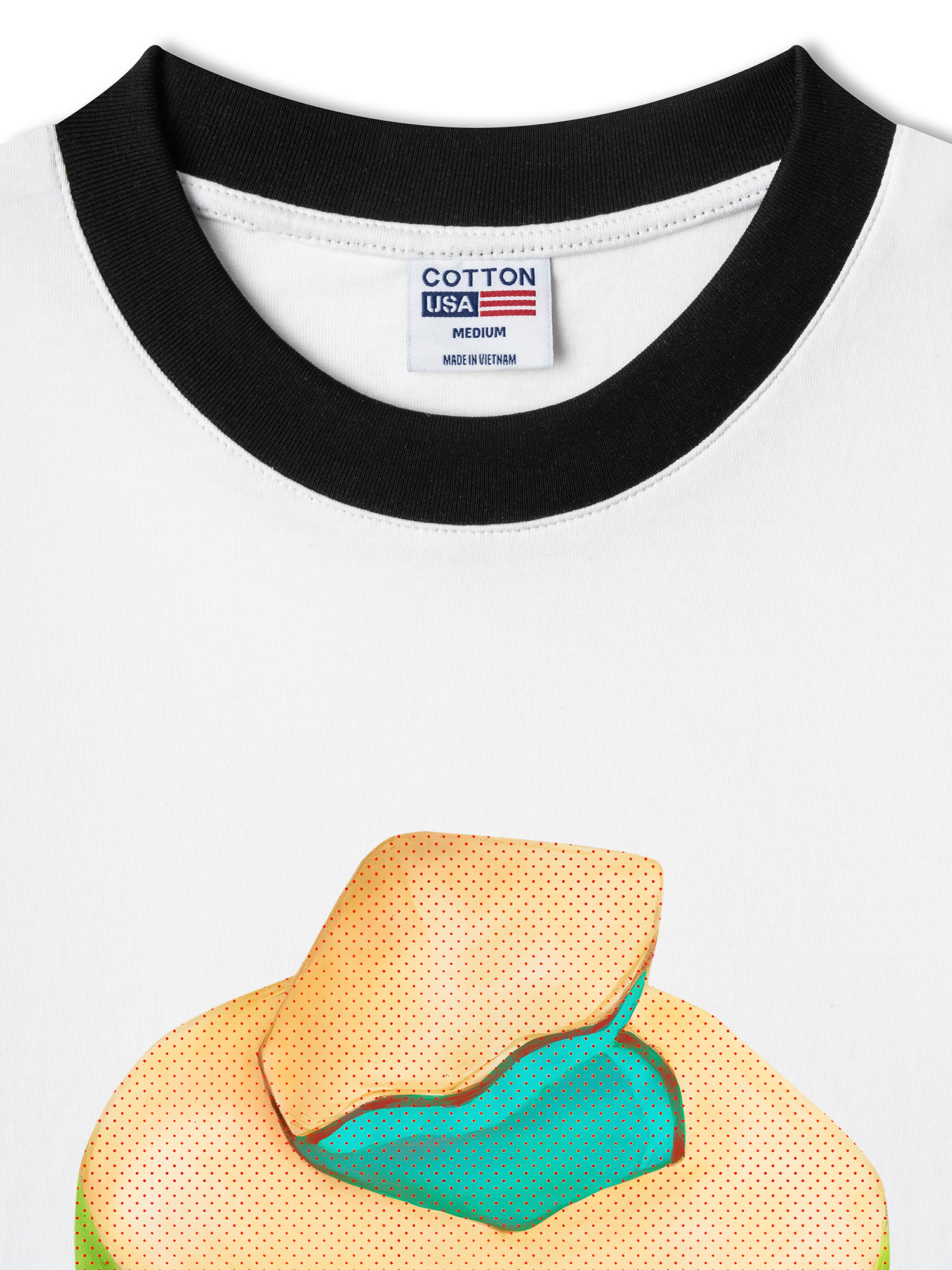 Áo Thun Ringer Relaxed Fit Tropical Coconut Retro