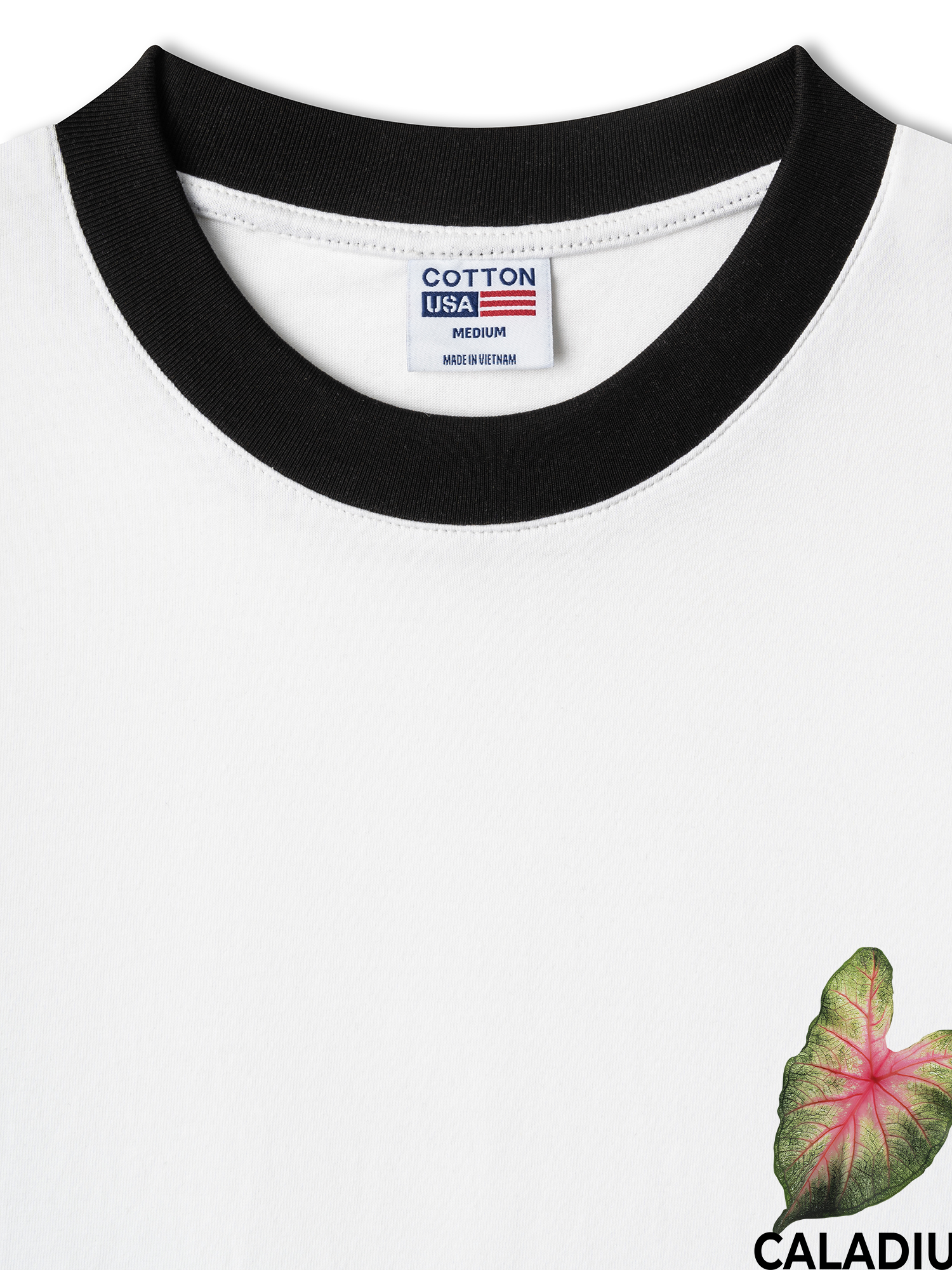 Áo Thun Ringer Relaxed Fit Tropical Leaf