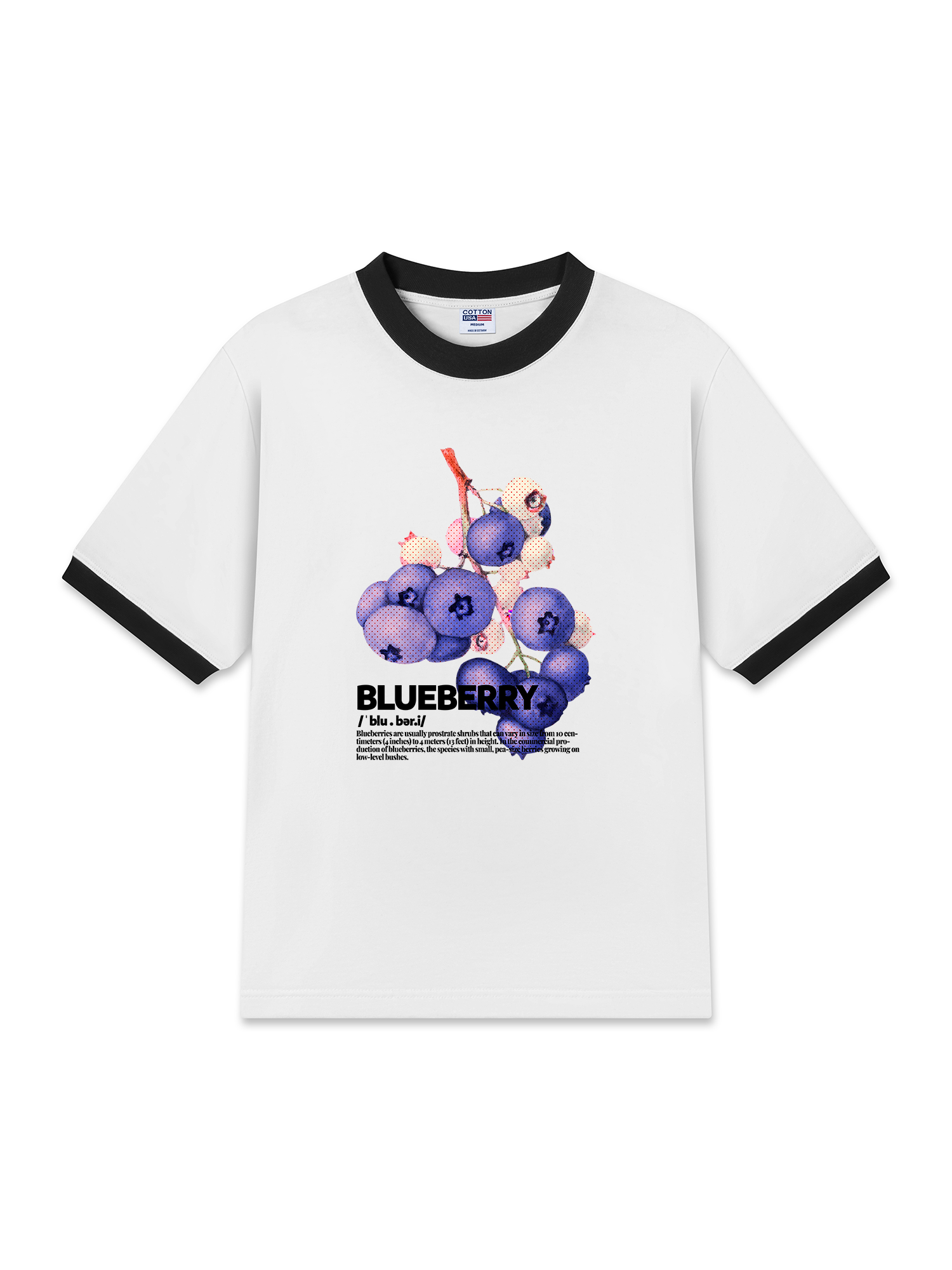 Áo Thun Ringer Relaxed Fit Tropical Blue Berry Retro