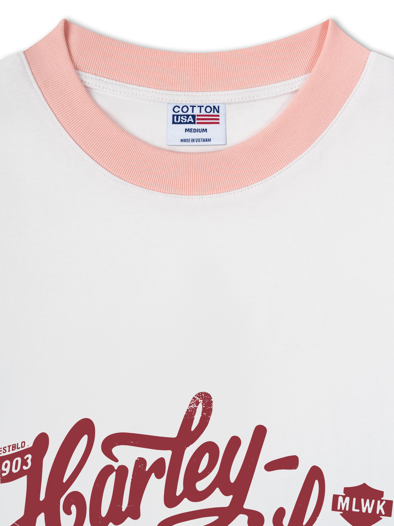 Áo Thun Ringer Relaxed Fit Ride the Legend