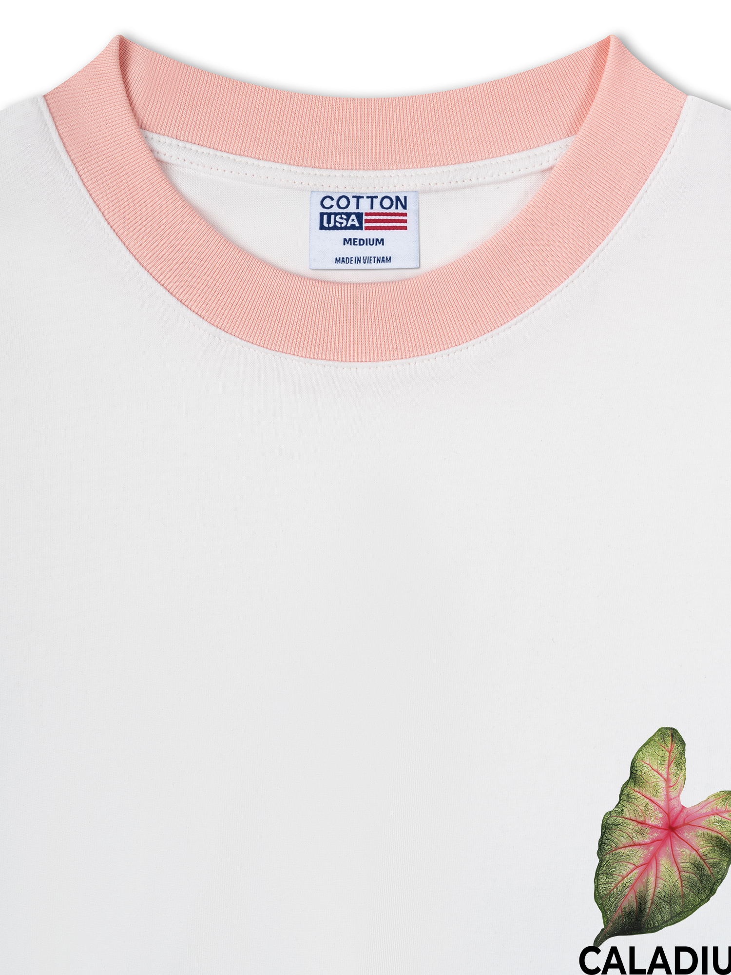 Áo Thun Ringer Relaxed Fit Tropical Leaf