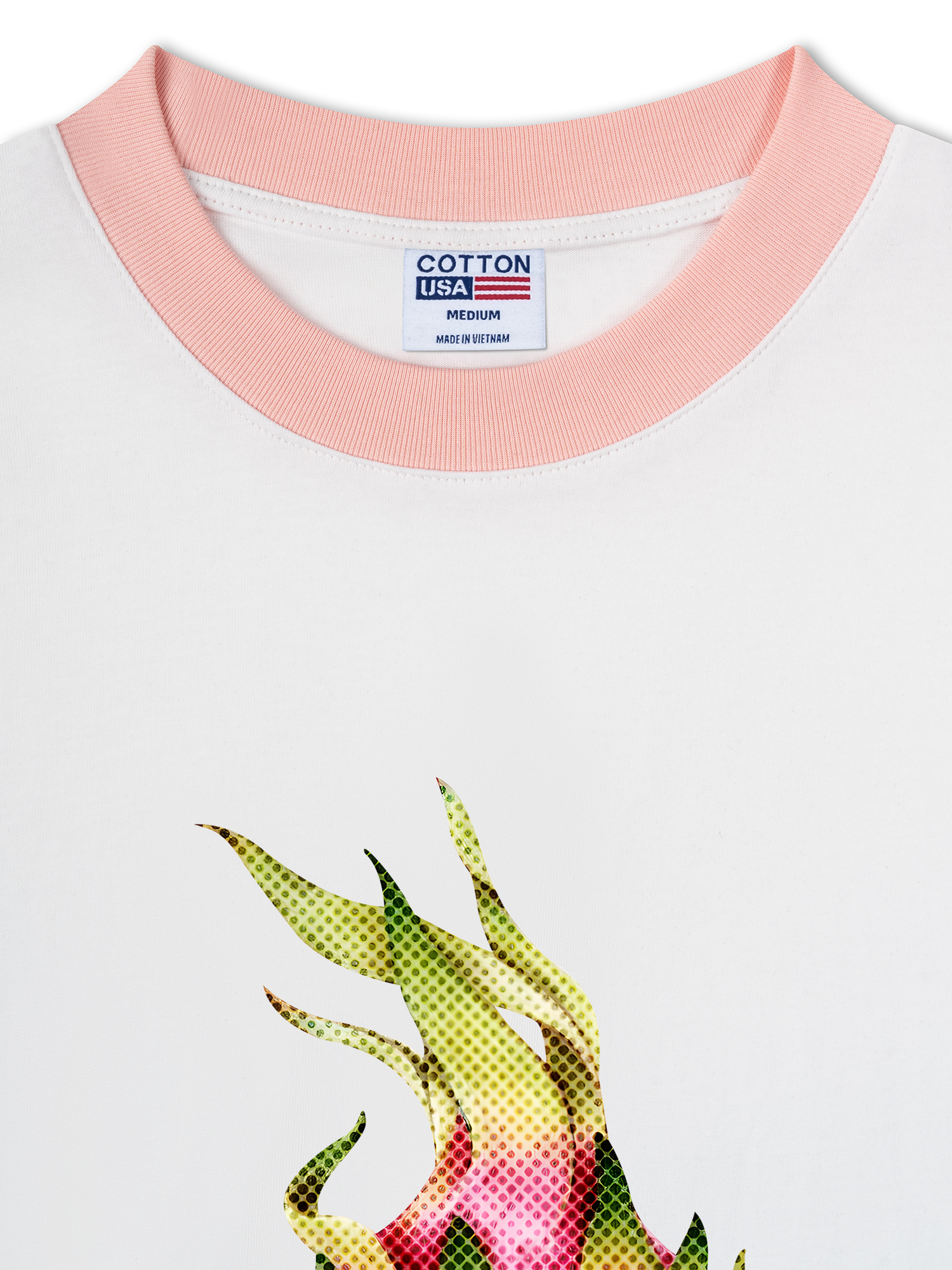 Áo Thun Ringer Relaxed Fit Tropical Dragon Fruit Retro