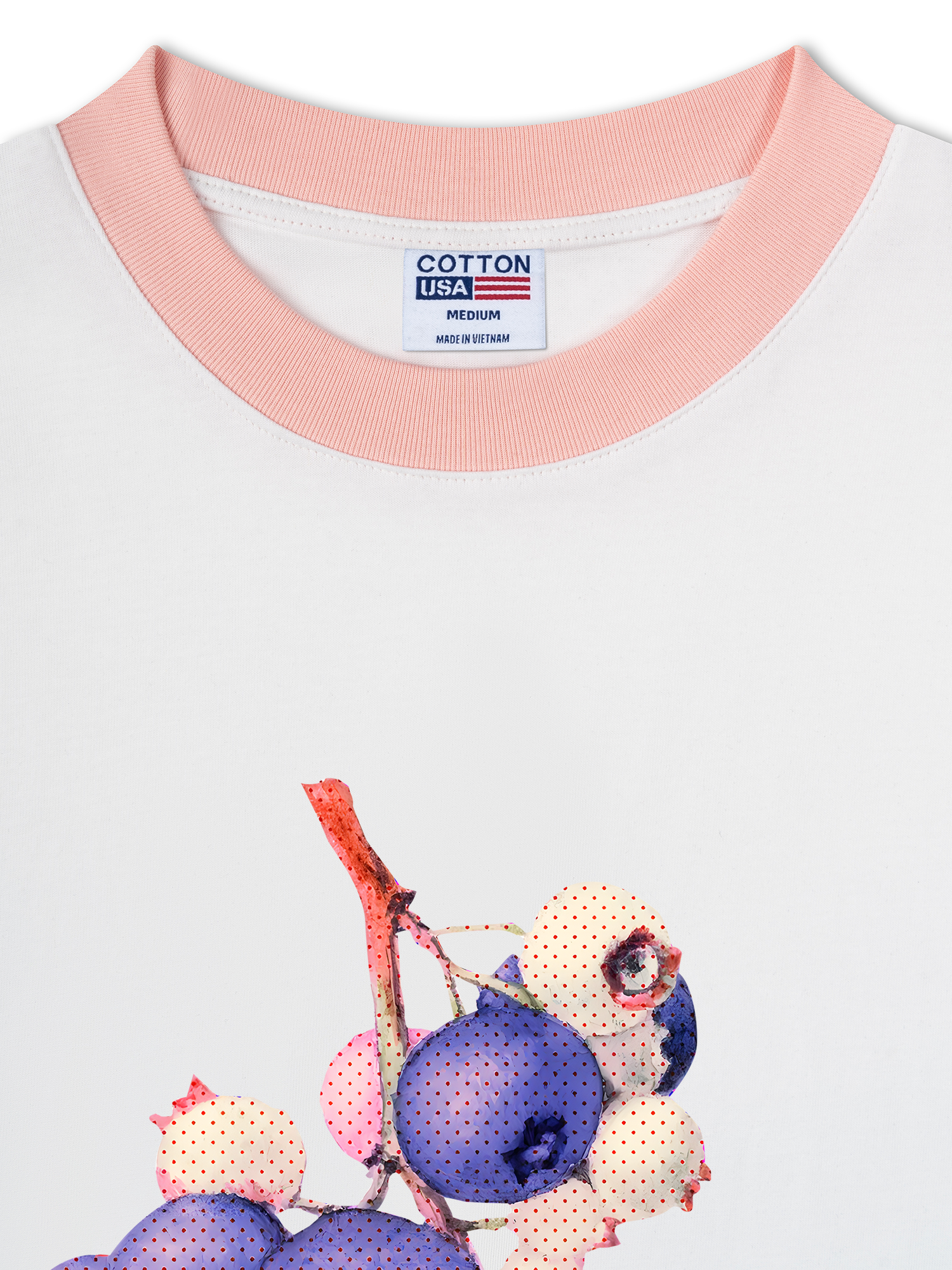 Áo Thun Ringer Relaxed Fit Tropical Blue Berry Retro