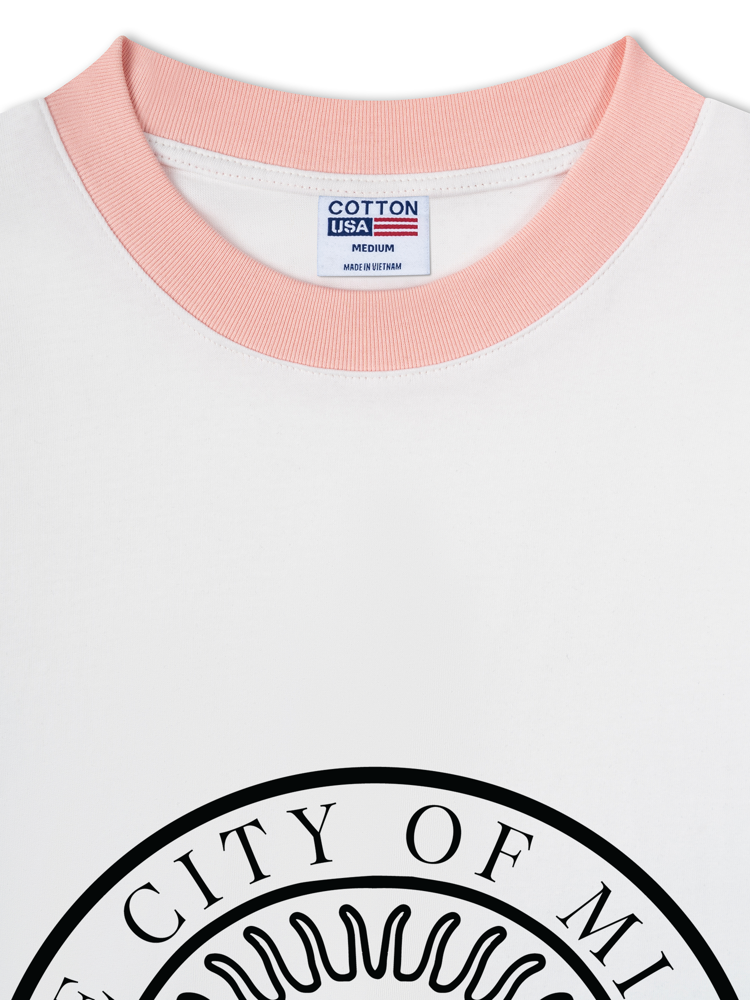 Áo Thun Ringer Relaxed Fit The City of Miami Florida