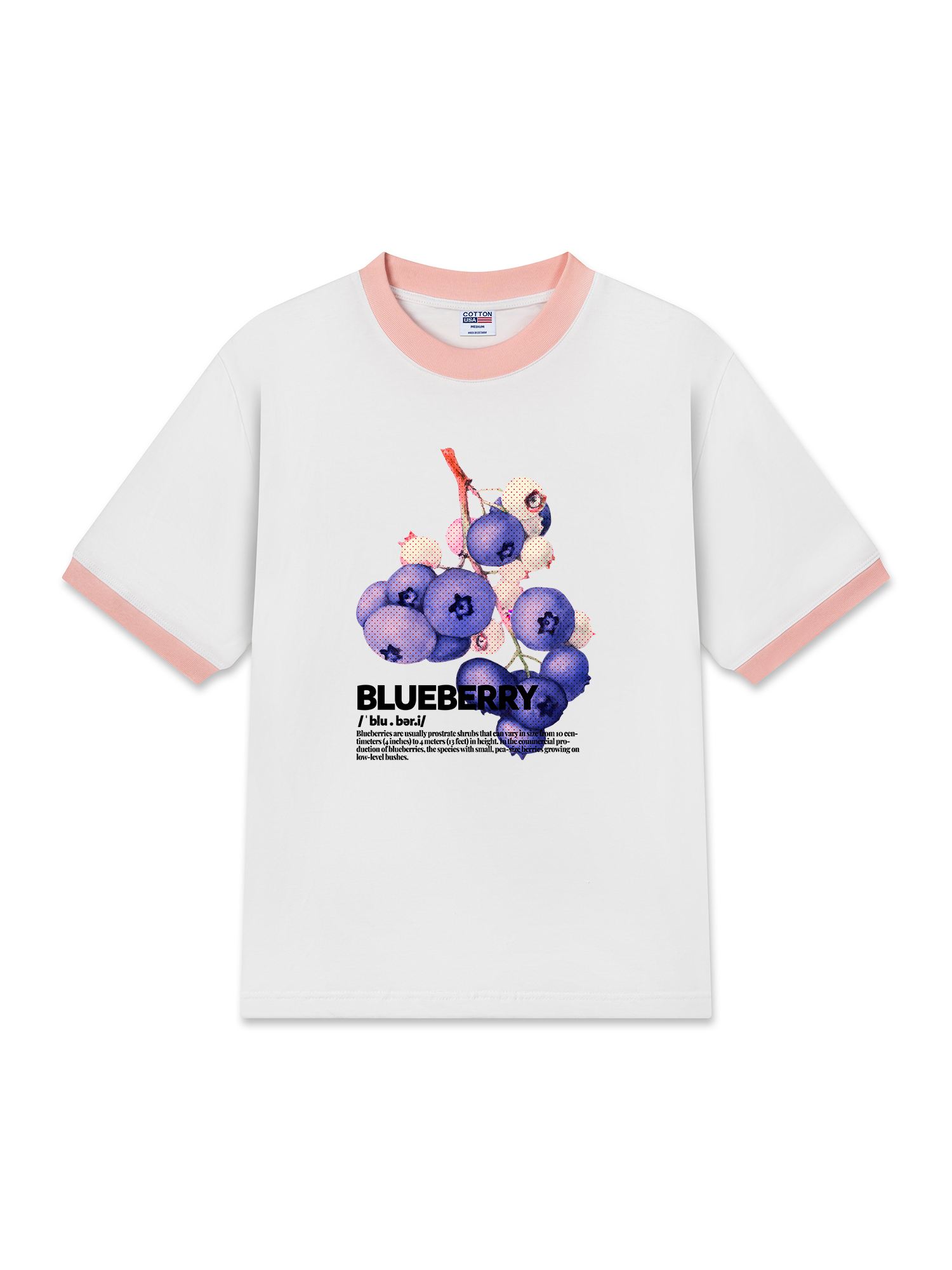 Áo Thun Ringer Relaxed Fit Tropical Blue Berry Retro