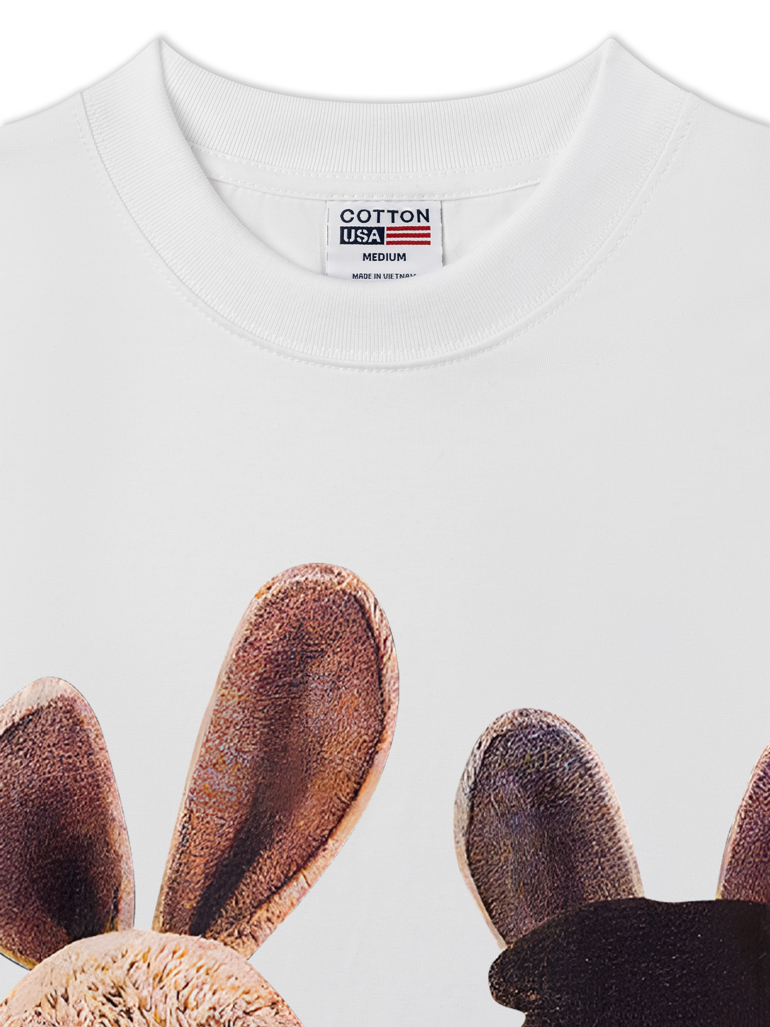 Áo Thun Relaxed Fit Bunny Couple