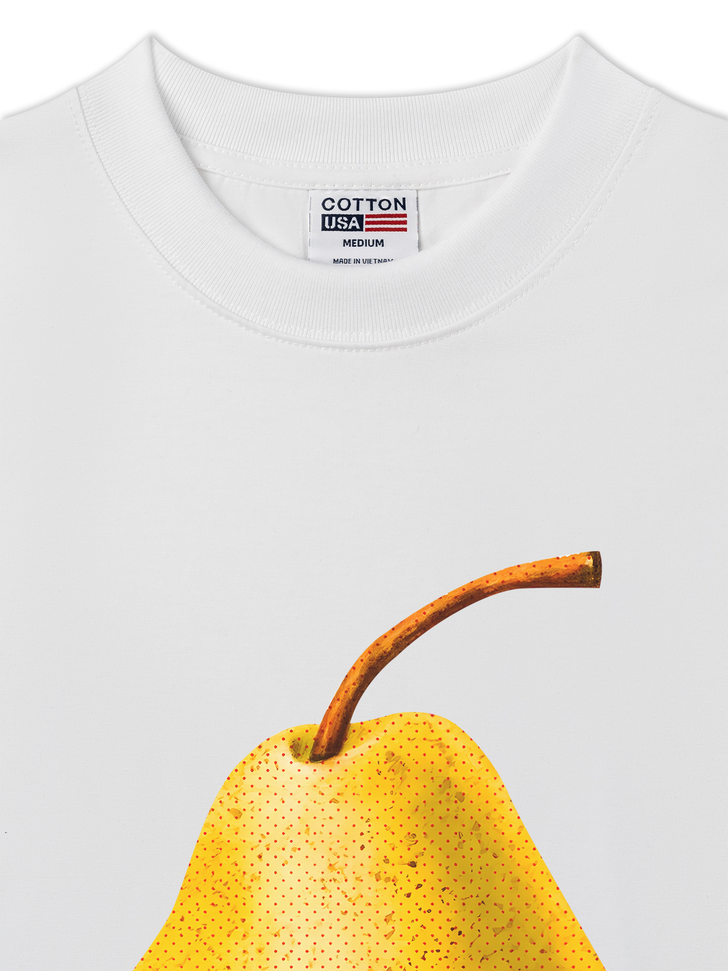Áo Thun Relaxed Fit Tropical Pear Retro