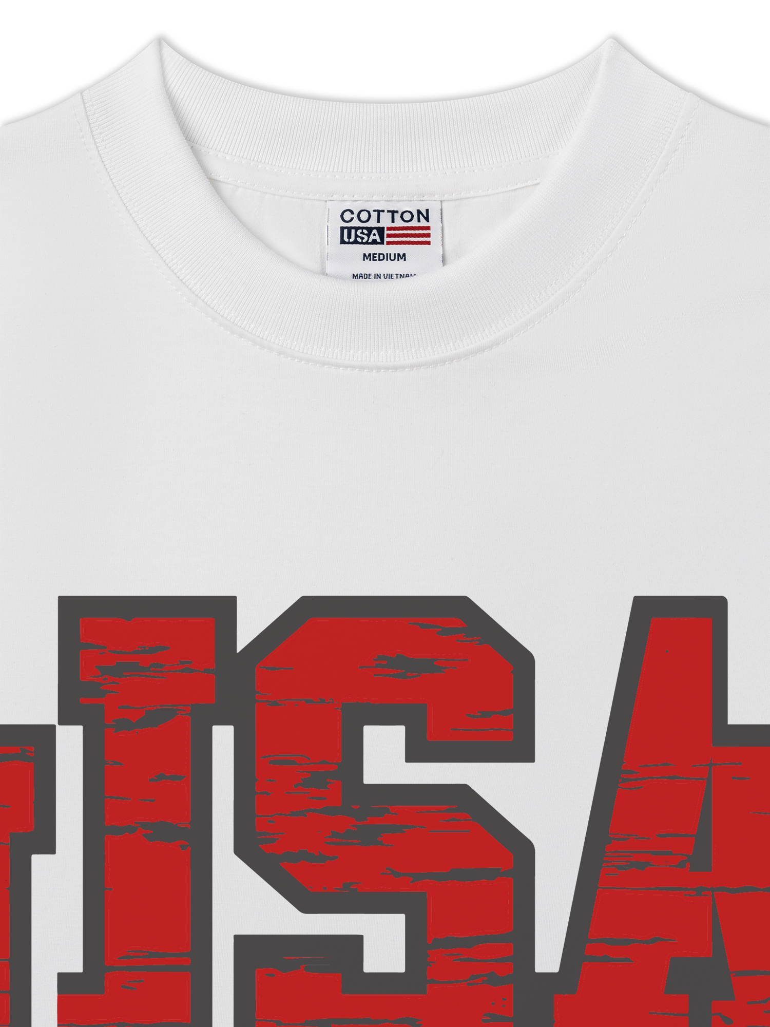 Áo Thun Relaxed Fit USA Scratched Typo