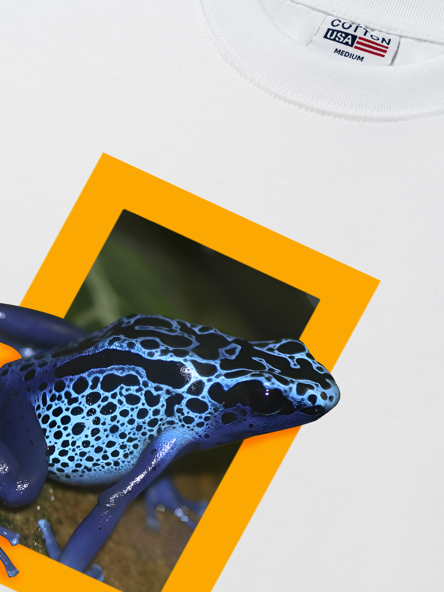 Áo Thun Relaxed Fit Wild Life Poison Frogs Are Mostly Diurnal