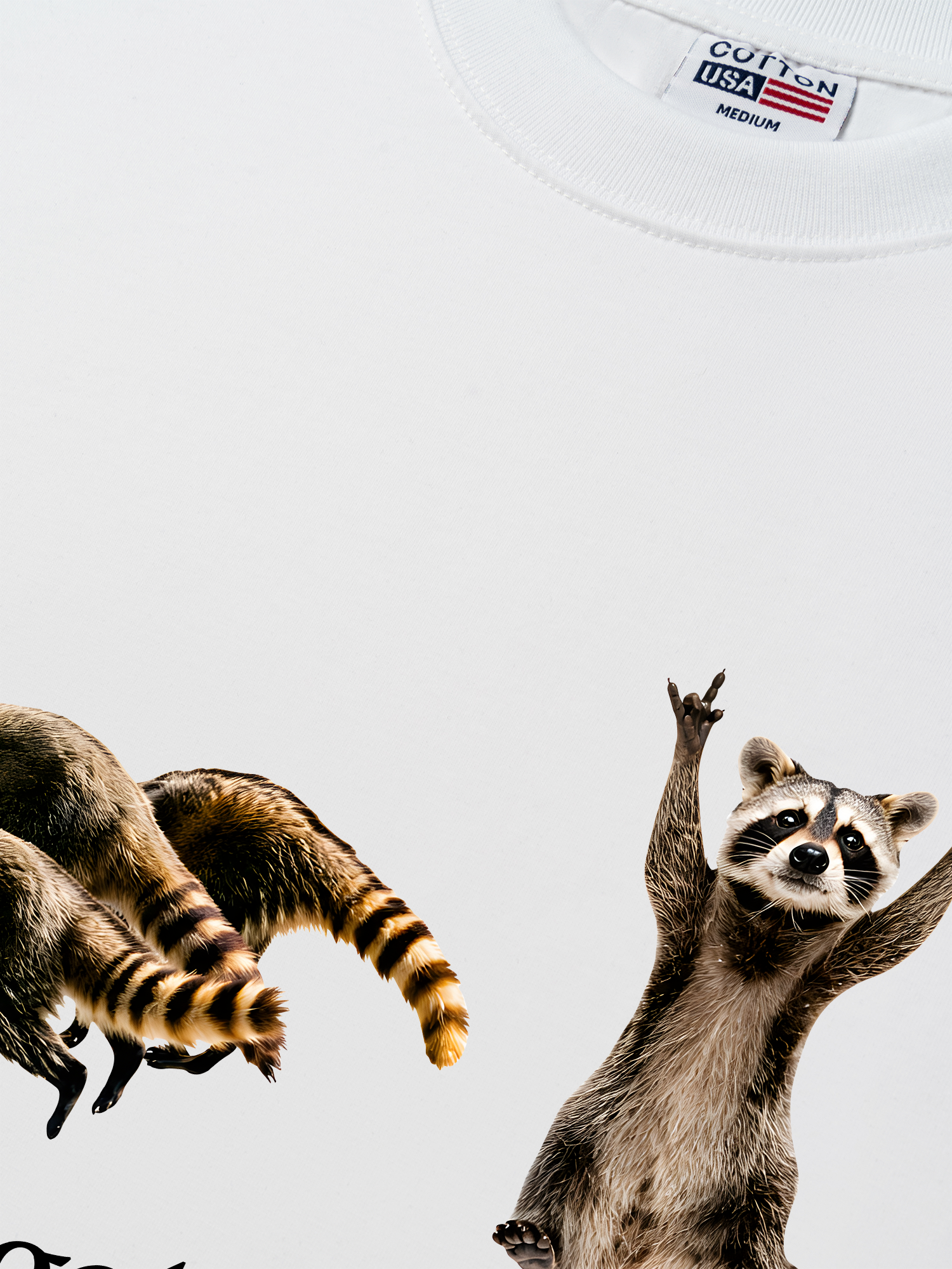 Áo Thun Relaxed Fit I Just Gotta Be Me Raccoon