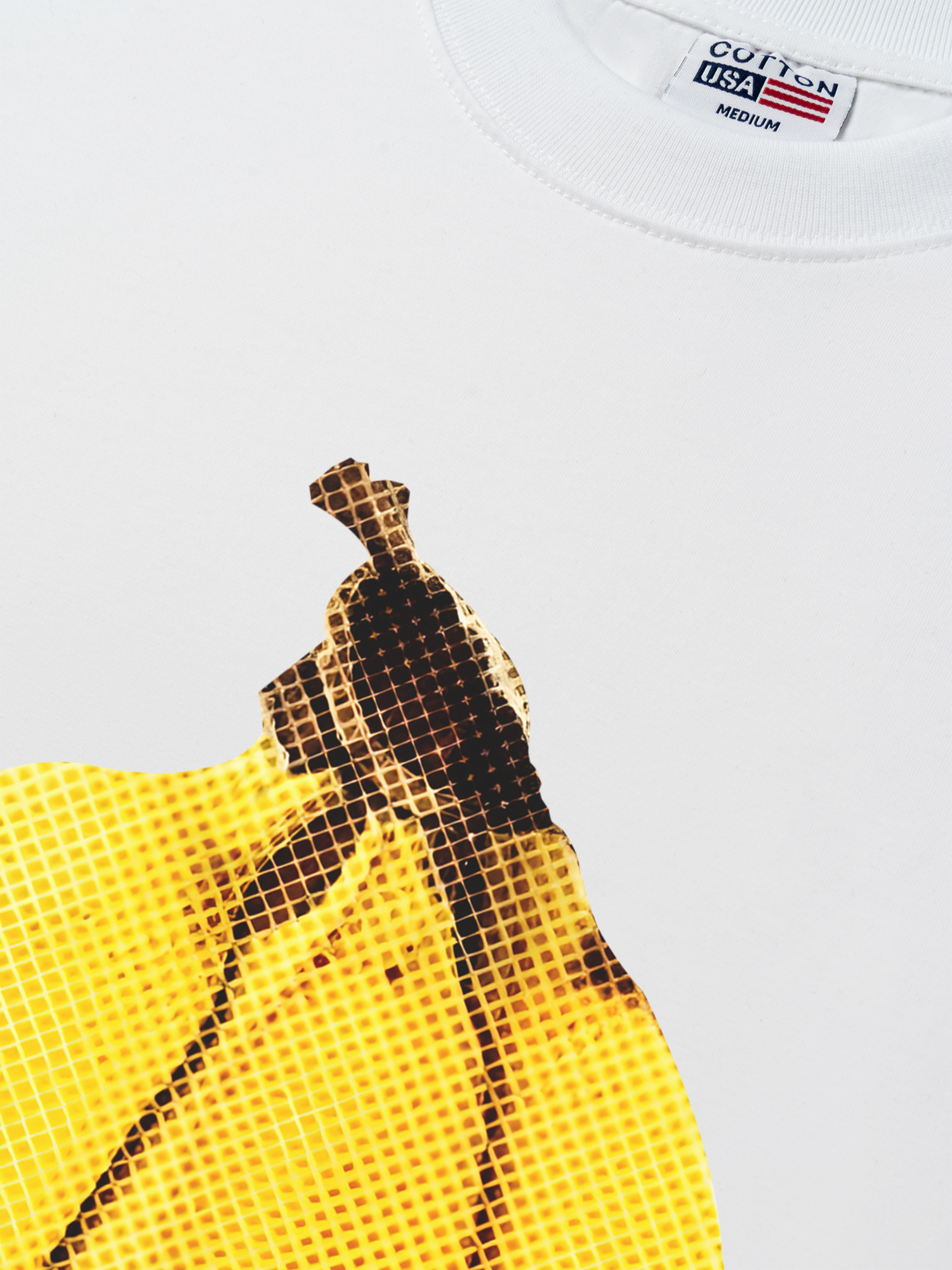 Áo Thun Relaxed Fit Tropical Banana Retro