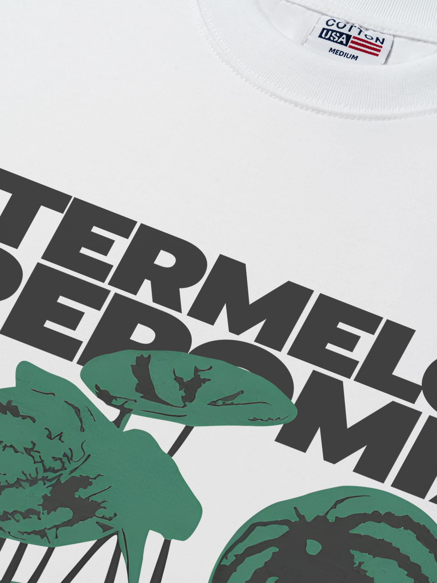 Áo Thun Relaxed Fit Tropical Watermelon Pereromia