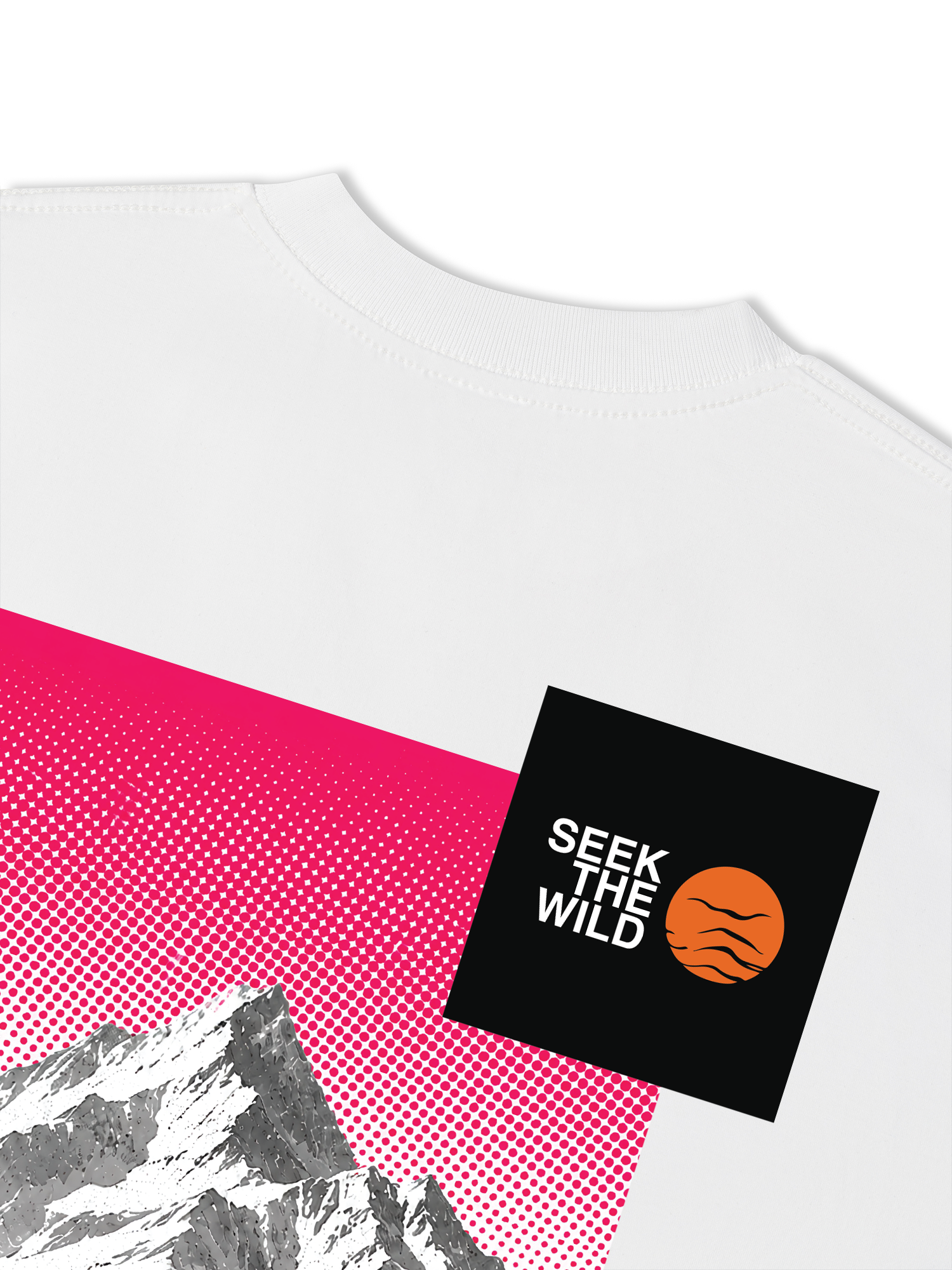 Áo Thun Relaxed Fit Adventure Seek The Wild 17