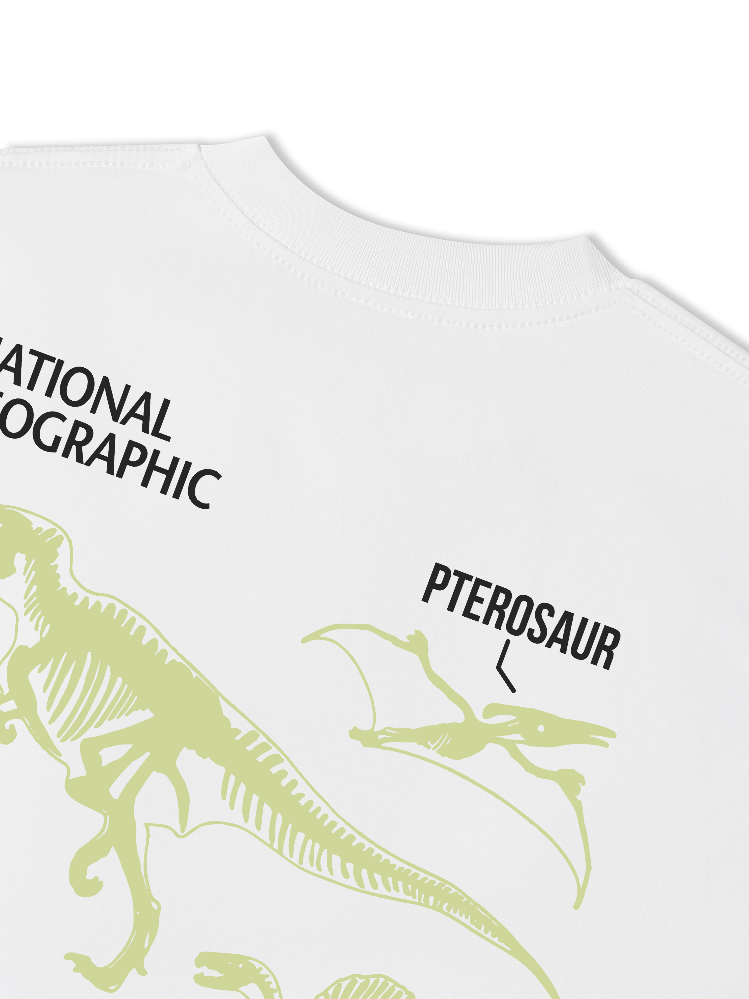 Áo Thun Relaxed Fit Wild Life World Of Dino