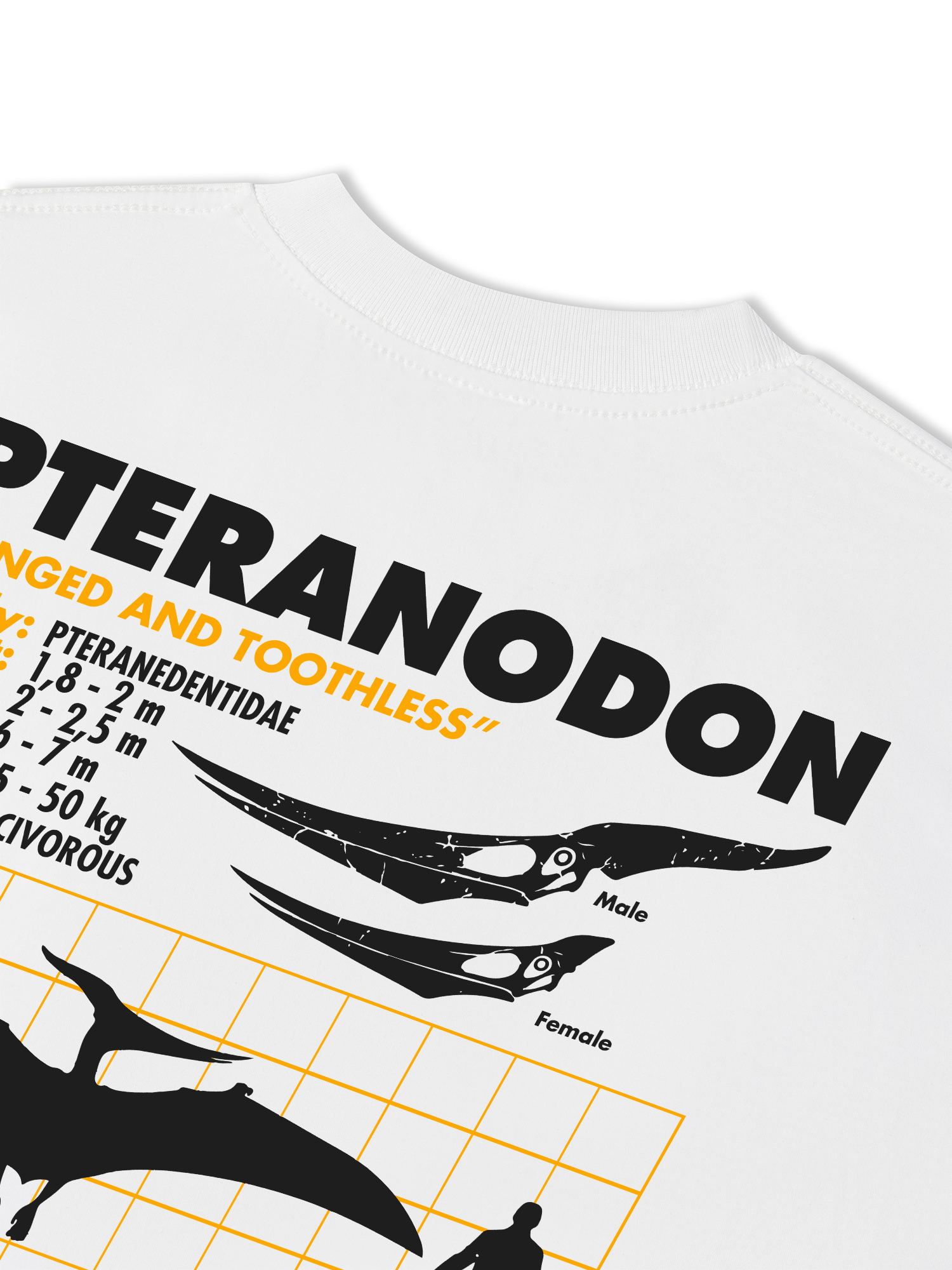 Áo Thun Relaxed Fit Analysis Table Pteranodon