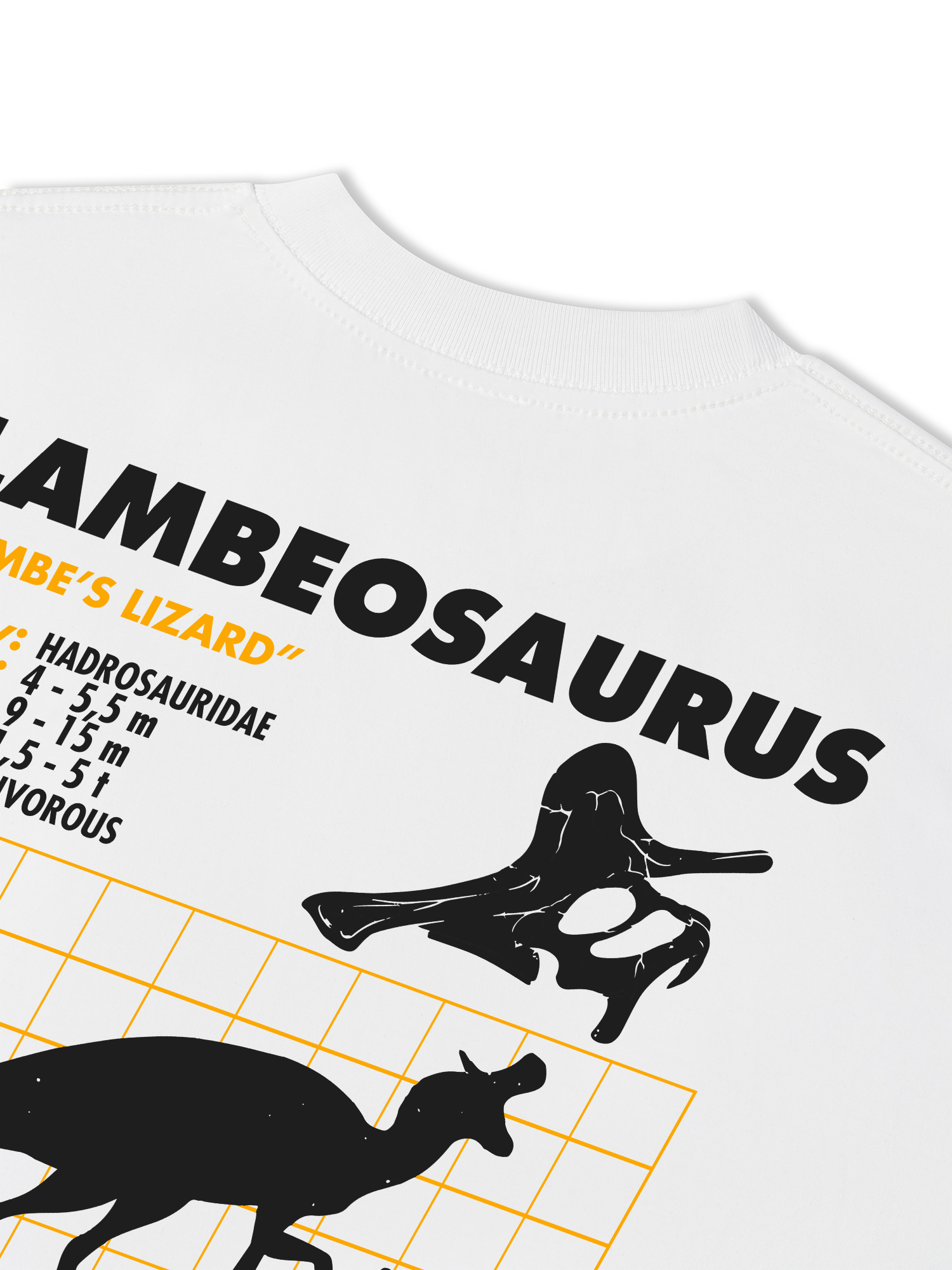 Áo Thun Relaxed Fit Analysis Table Lambeosaurus