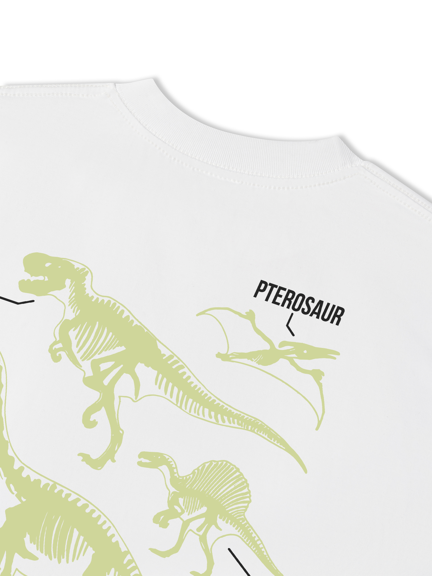 Áo Thun Relaxed Fit World Of Dino