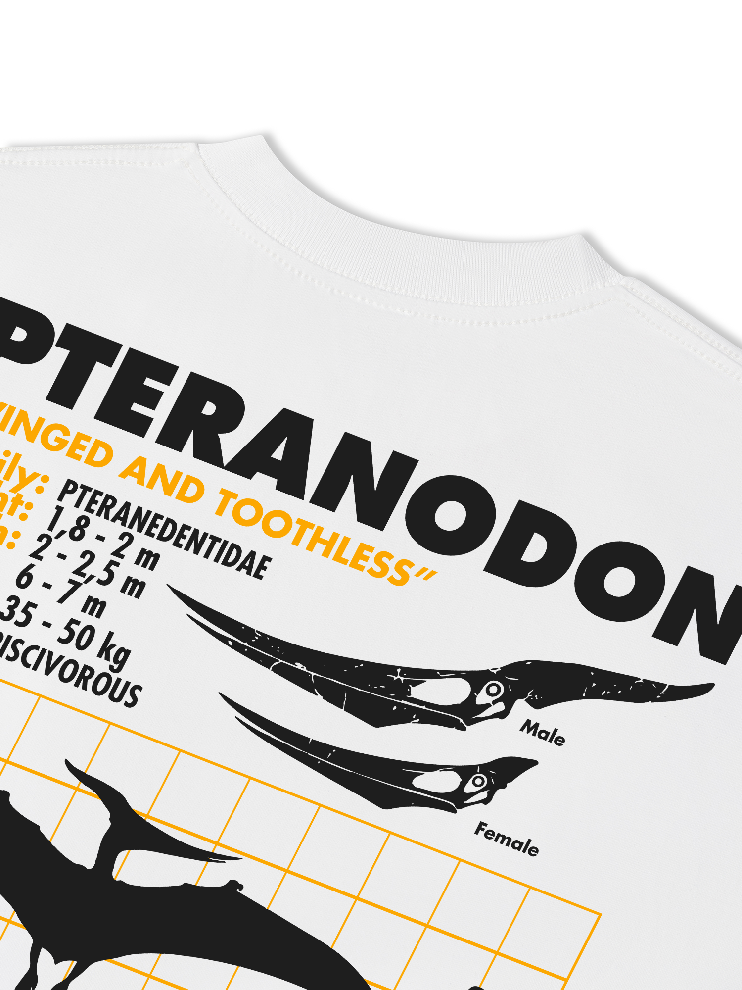 Áo Thun Relaxed Fit Wild Life Analysis Table Pteranodon