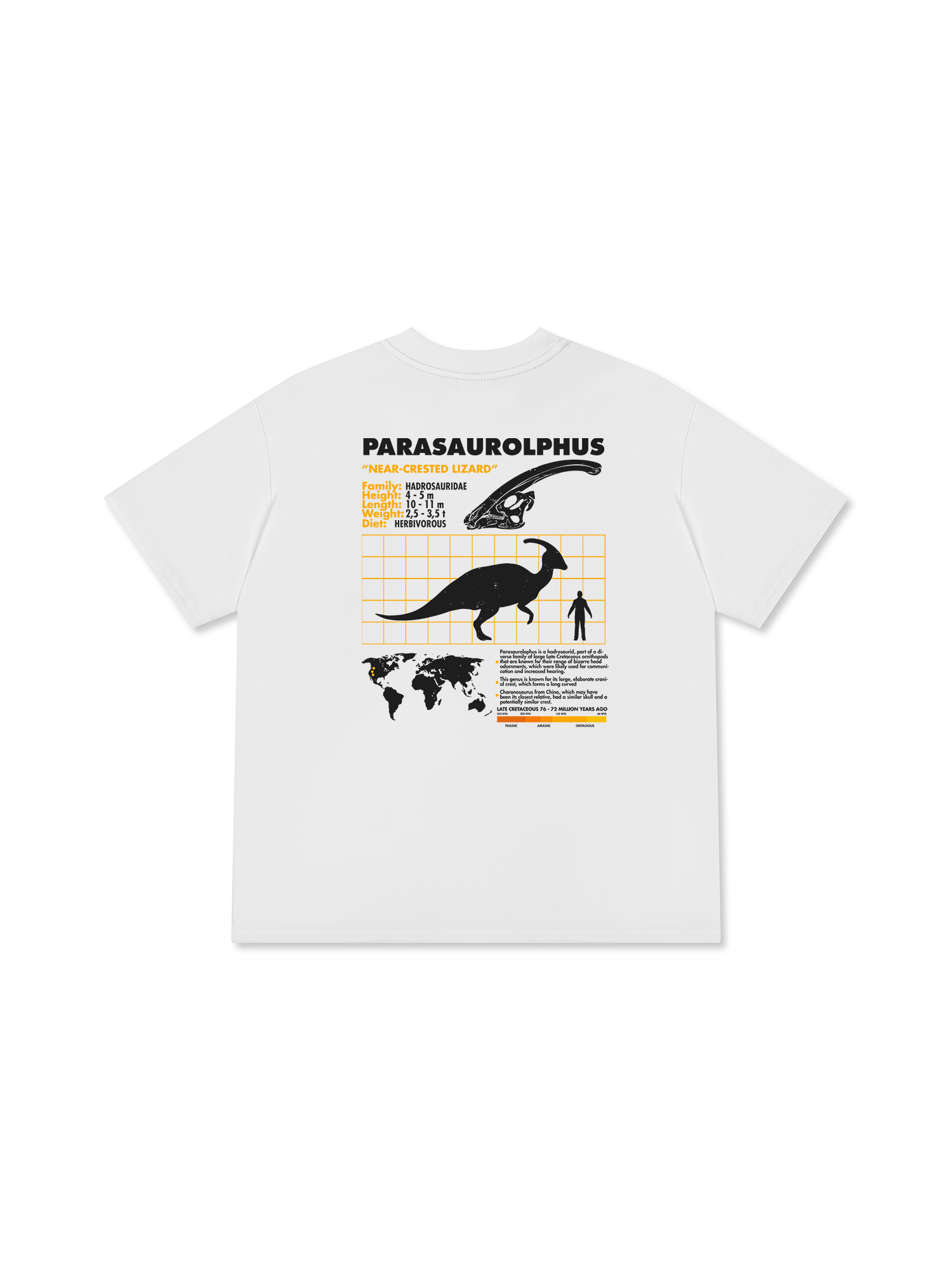 Áo Thun Relaxed Fit Analysis Table Parasaurolphus