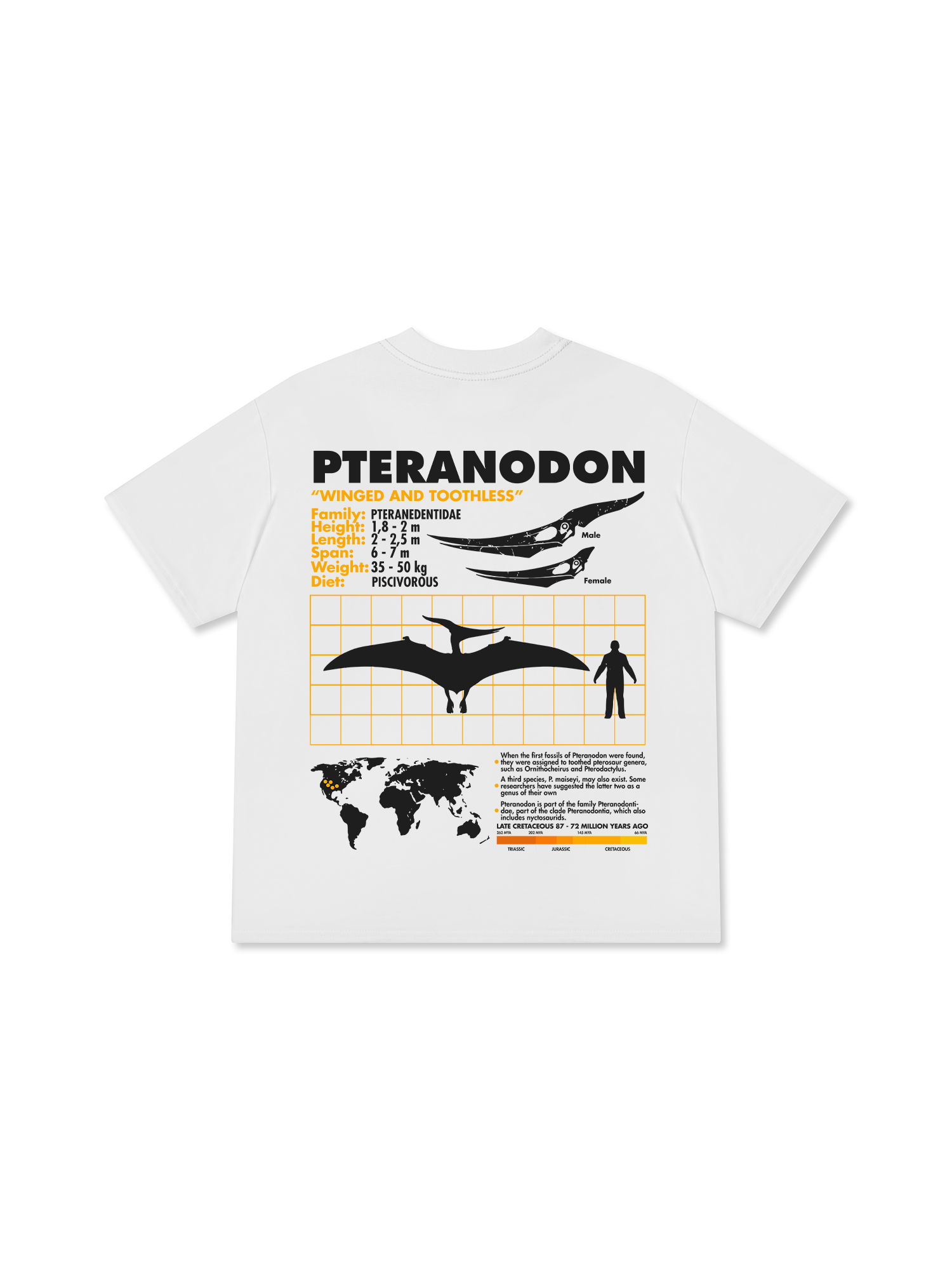 Áo Thun Relaxed Fit Wild Life Analysis Table Pteranodon