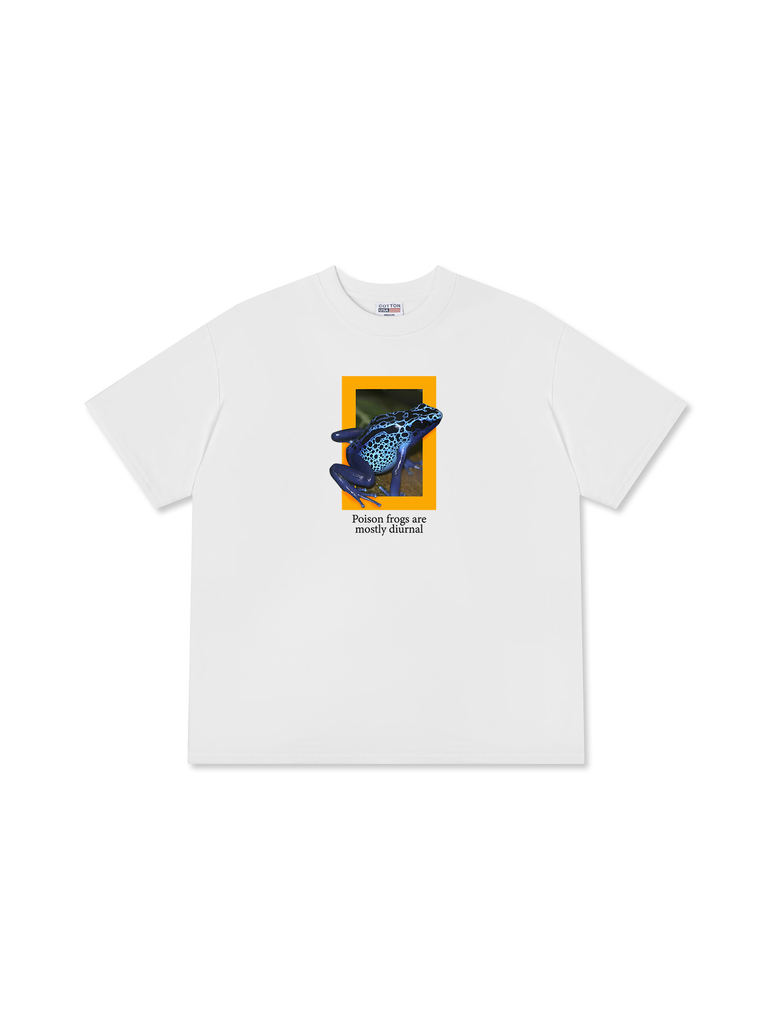 Áo Thun Relaxed Fit Wild Life Poison Frogs Are Mostly Diurnal