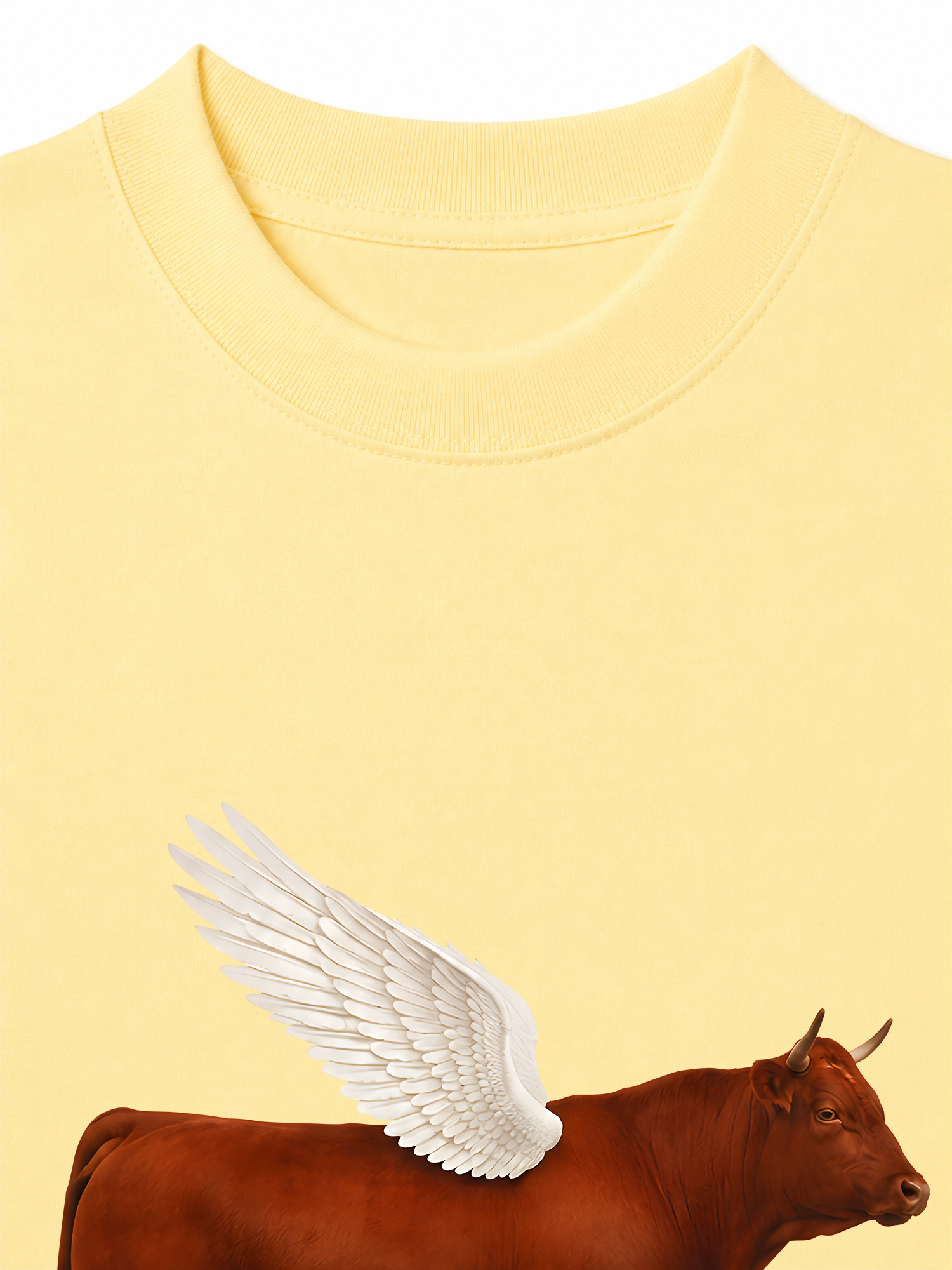 Áo Thun Relaxed Fit Find Your Wings