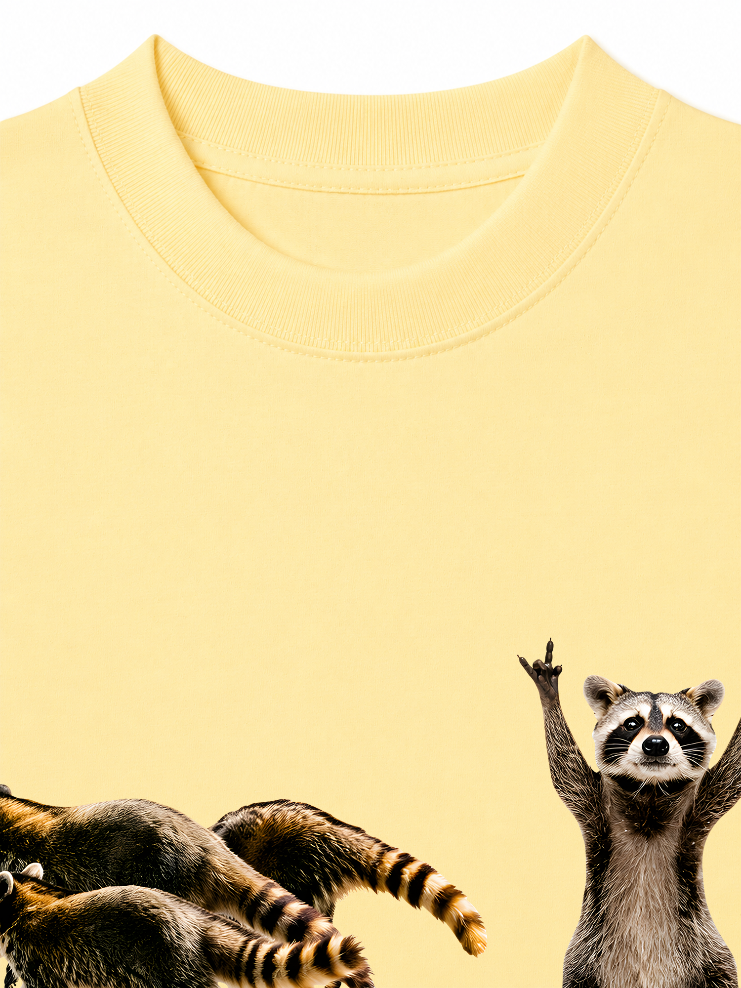 Áo Thun Relaxed Fit I Just Gotta Be Me Raccoon