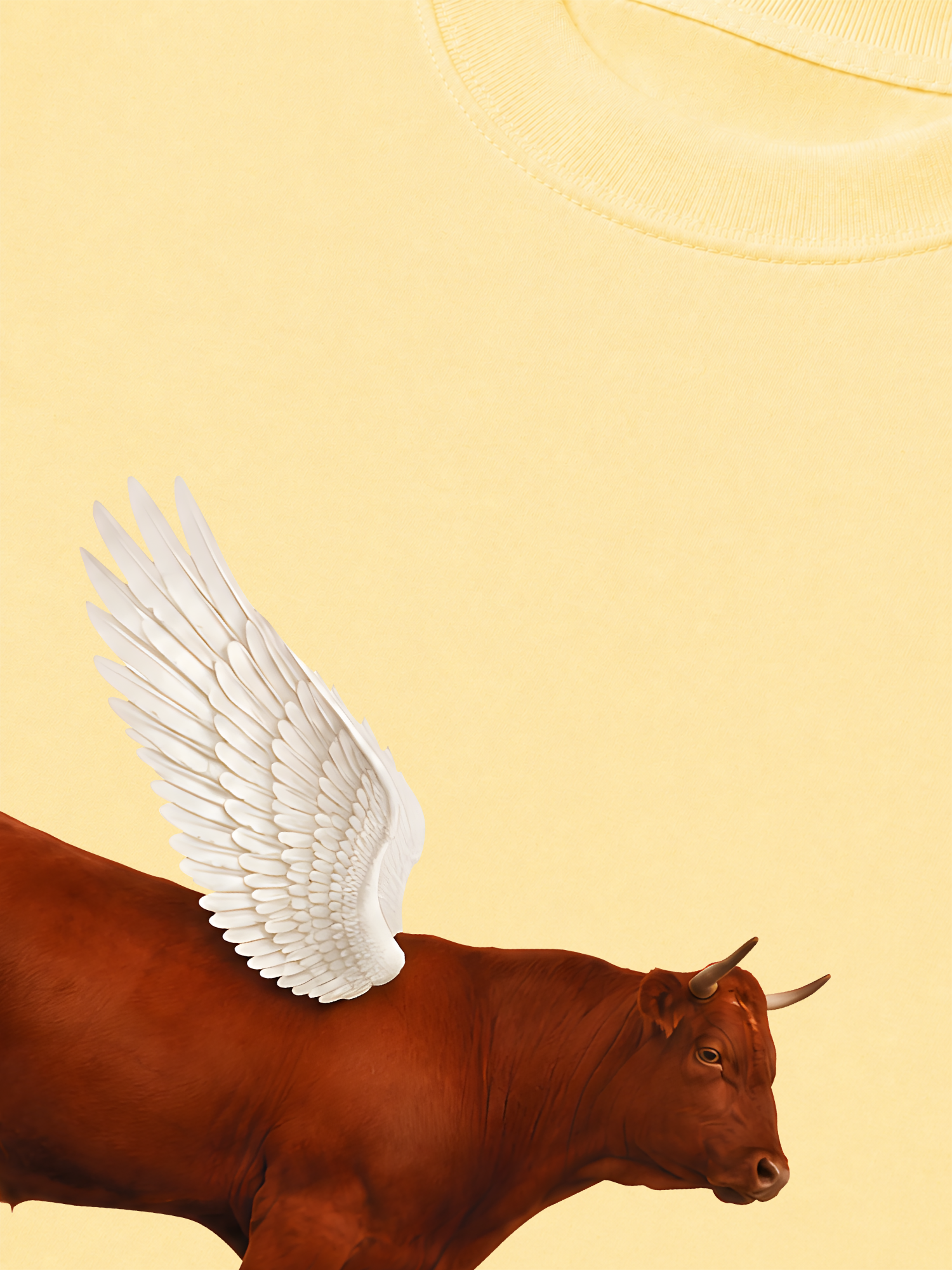Áo Thun Relaxed Fit Find Your Wings