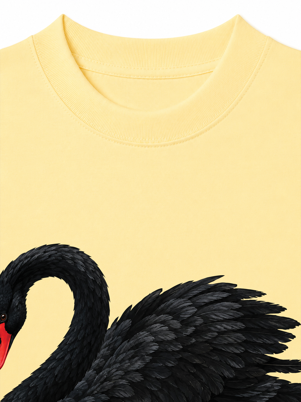 Áo Thun Relaxed Fit Black Swan