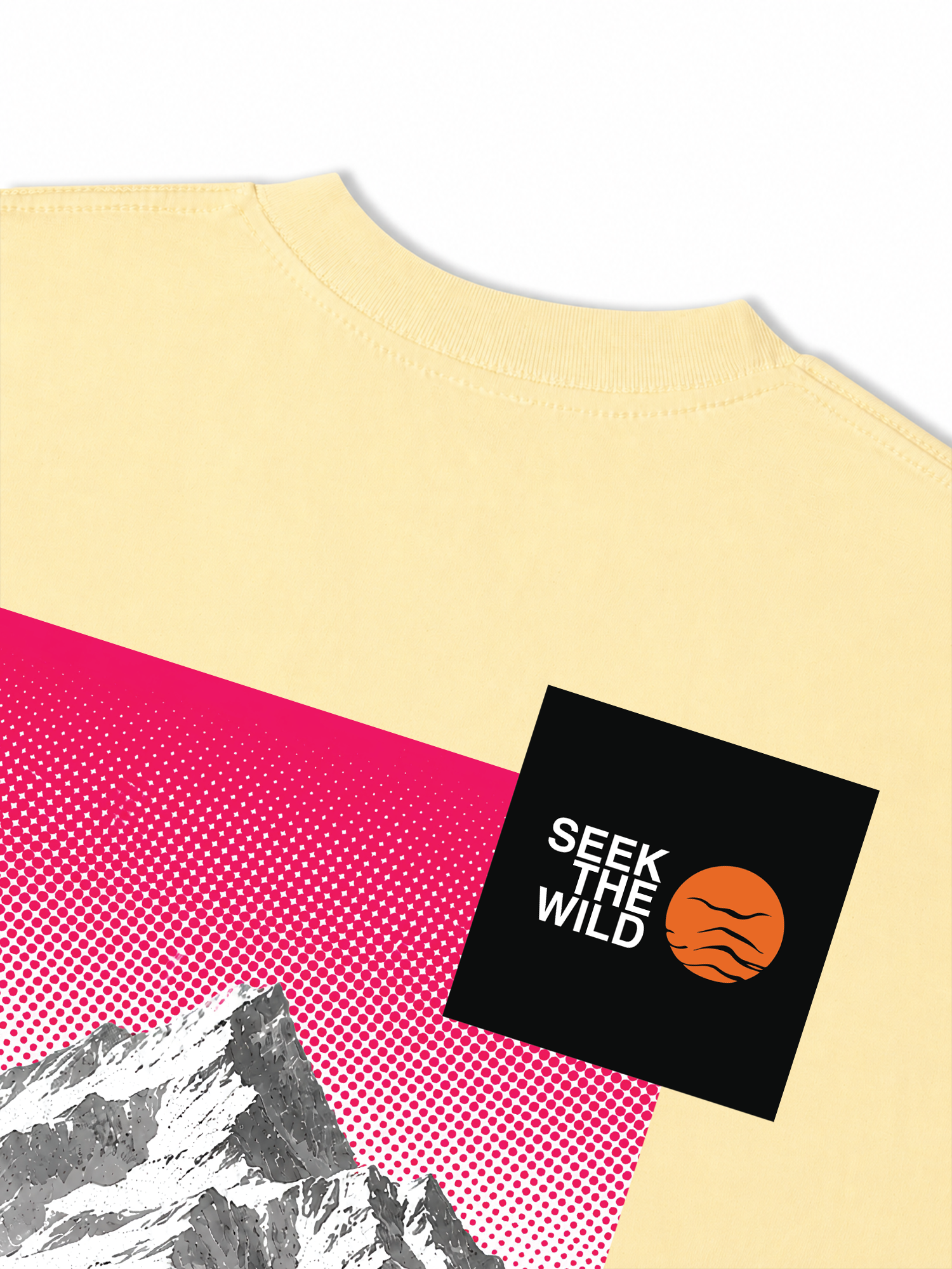 Áo Thun Relaxed Fit Adventure Seek The Wild 17