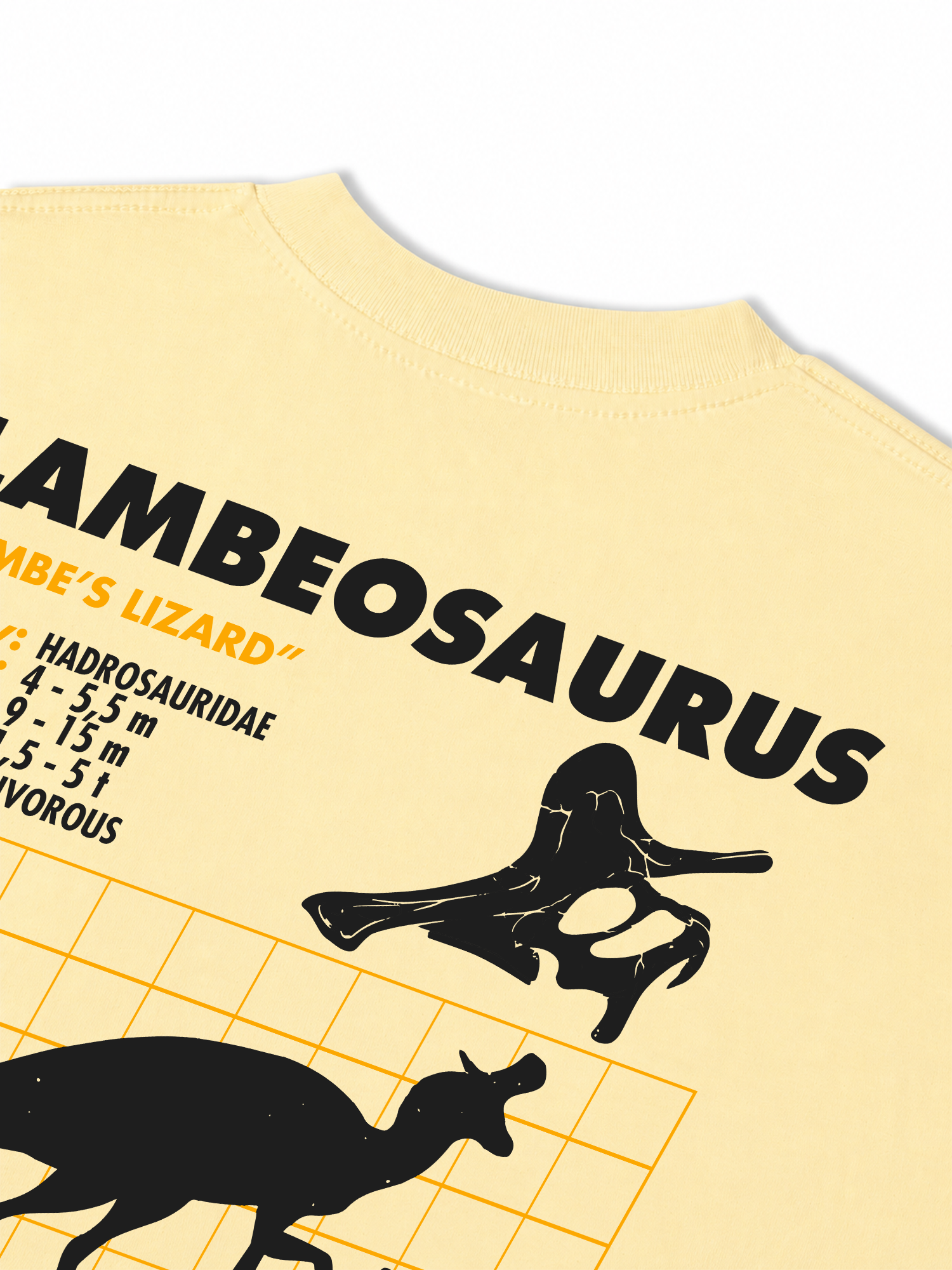 Áo Thun Relaxed Fit Analysis Table Lambeosaurus