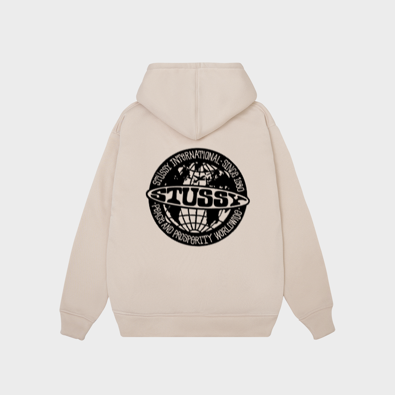 Stussy Worldwide Hoodie