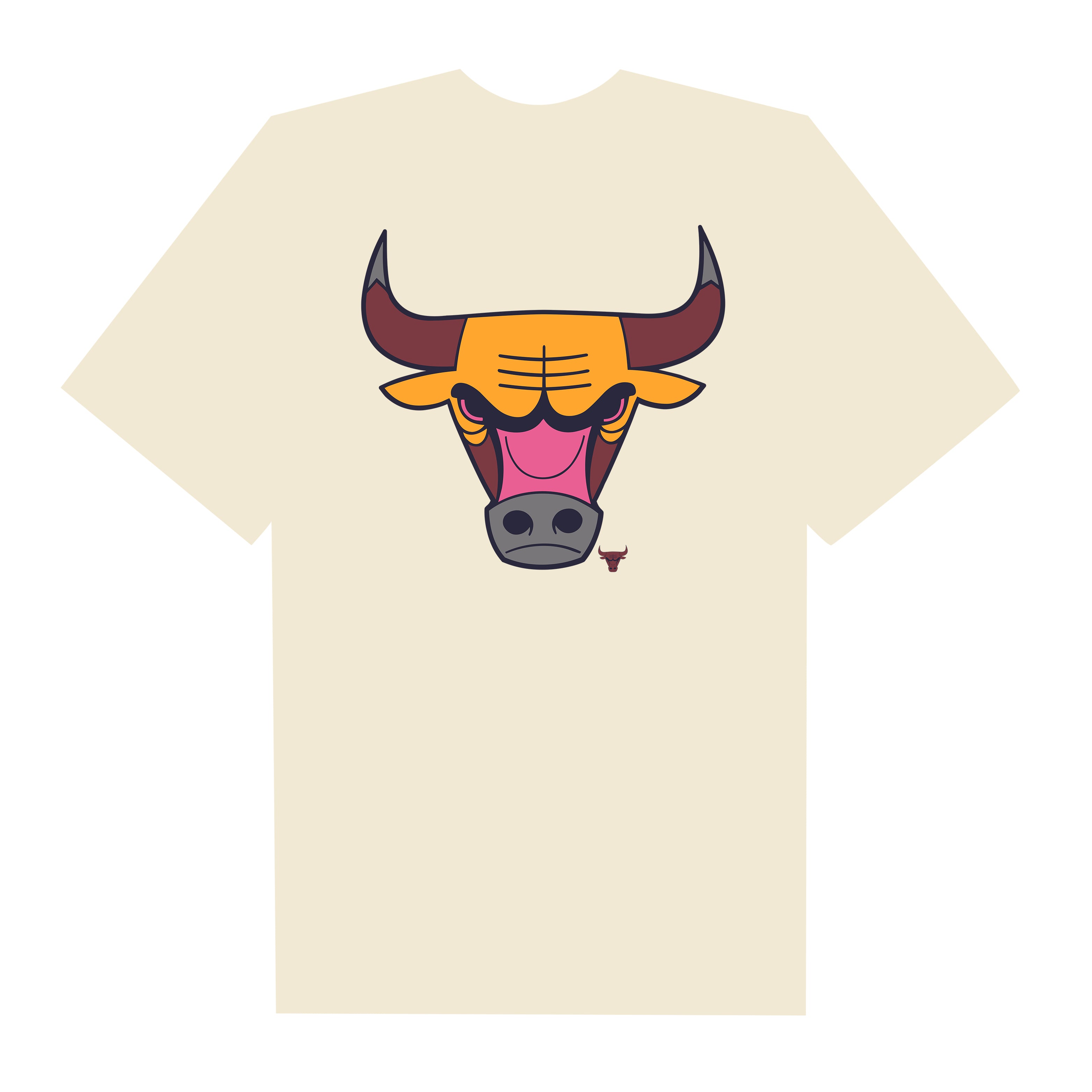 NBA Chicago Bulls Colorpack Green T-Shirt