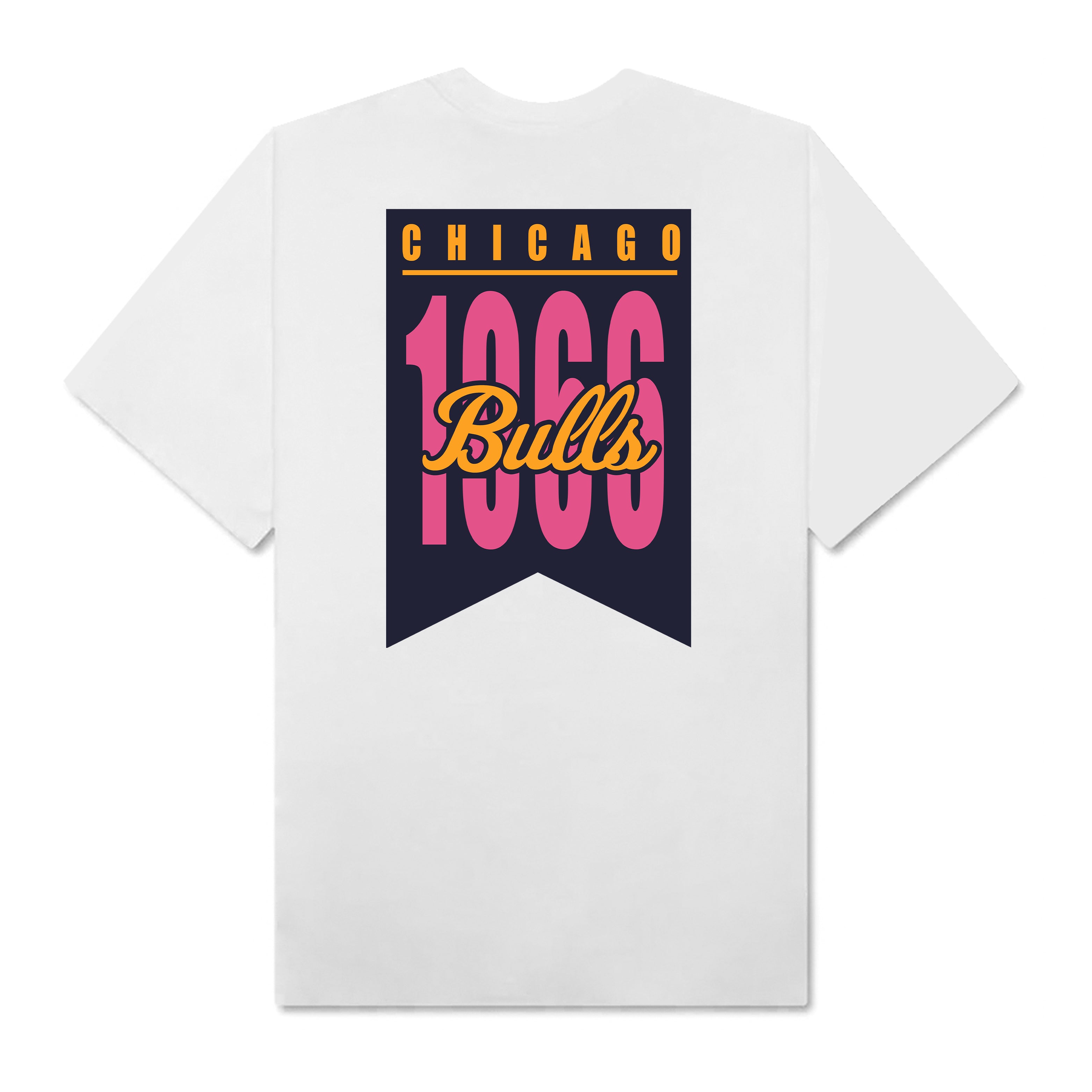 NBA Chicago Bulls Colorpack Green T-Shirt