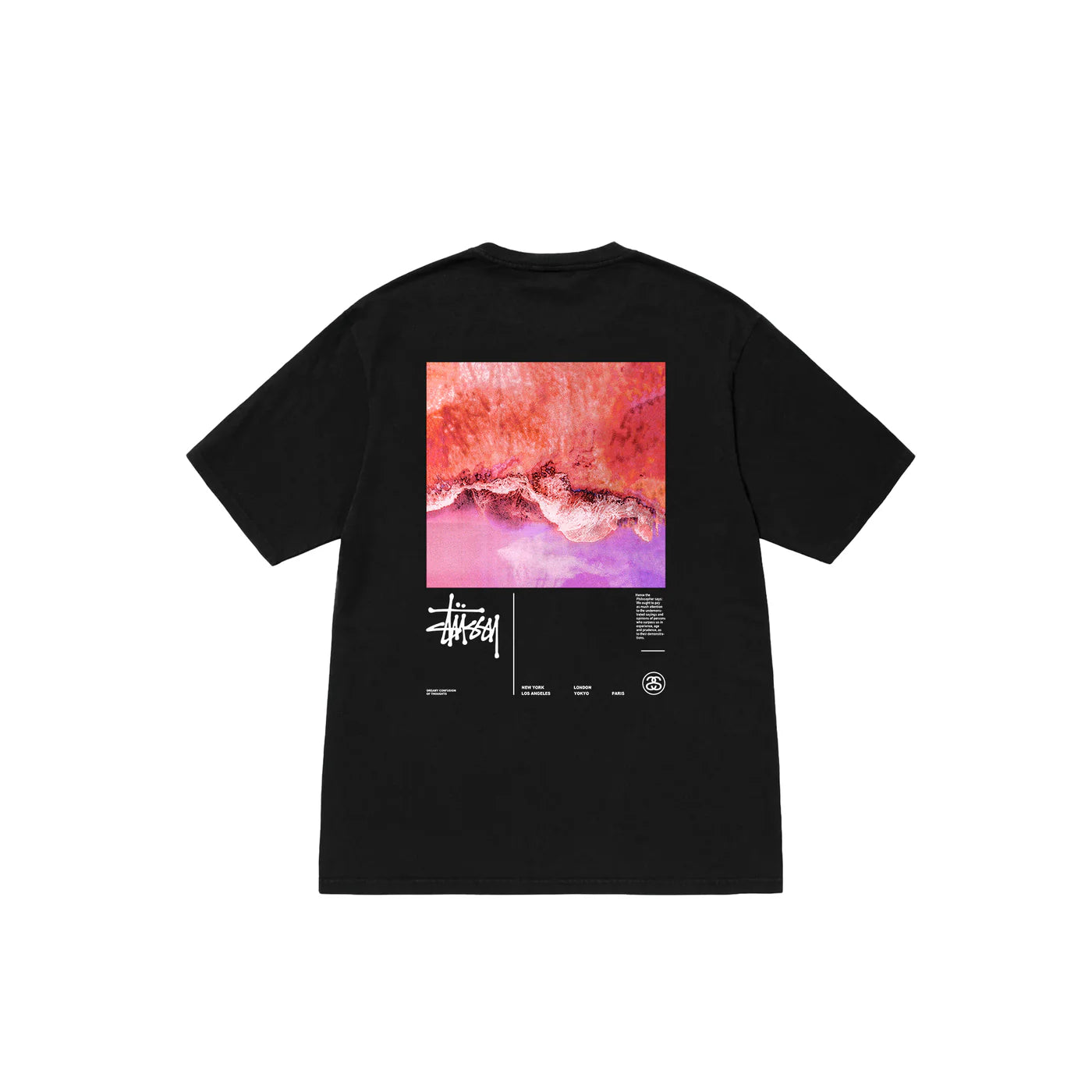 Flash Sale Stussy T-Shirt