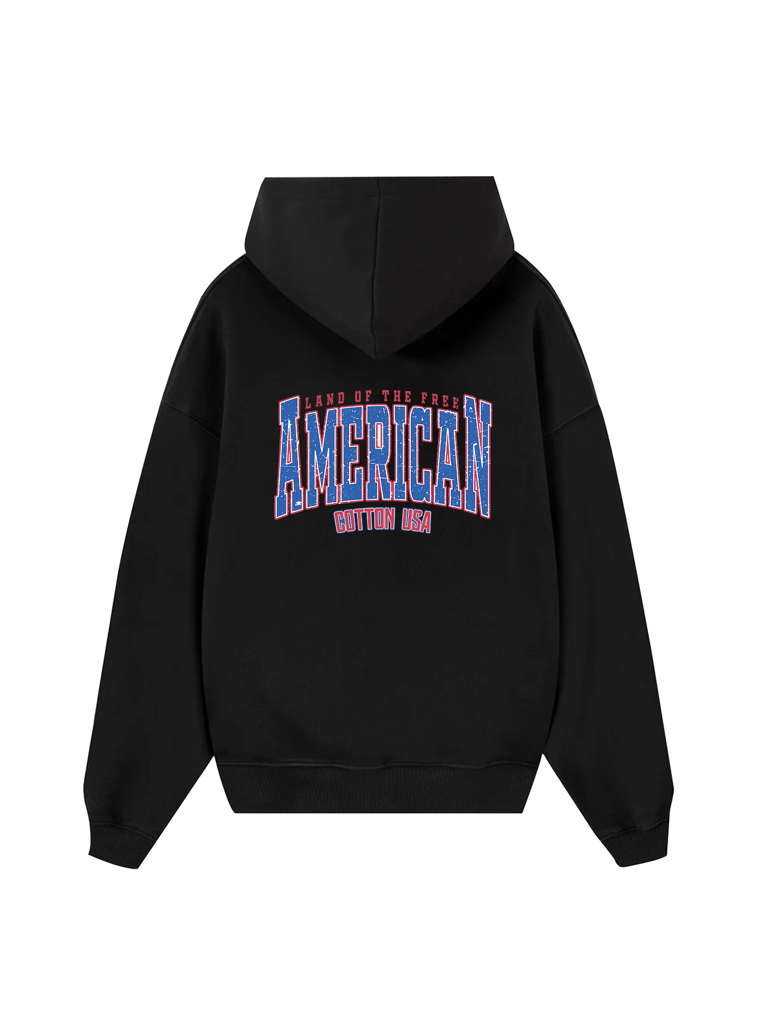 USA Land Of The Free Hoodie