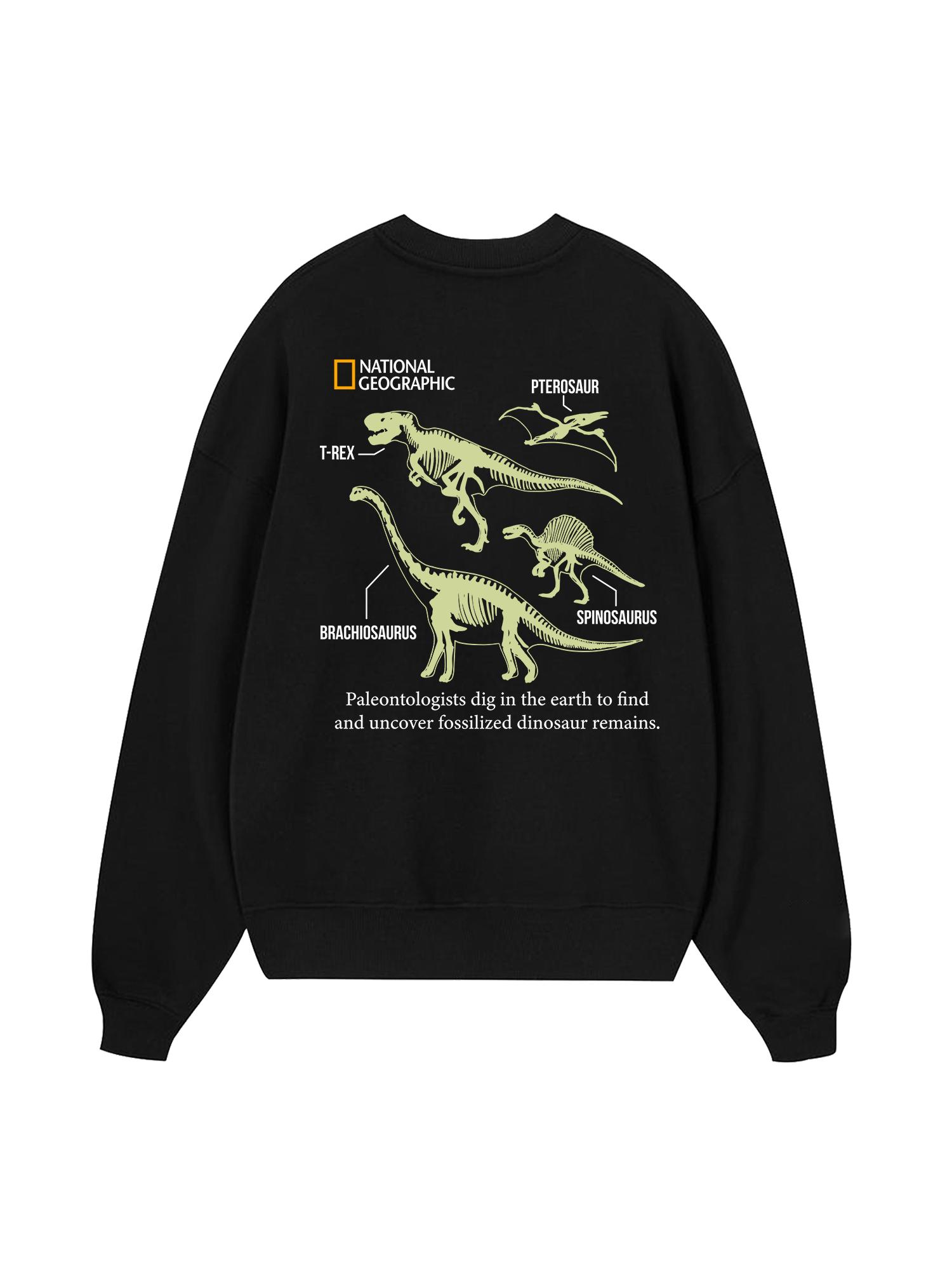 Wild Life World Of Dino Sweater