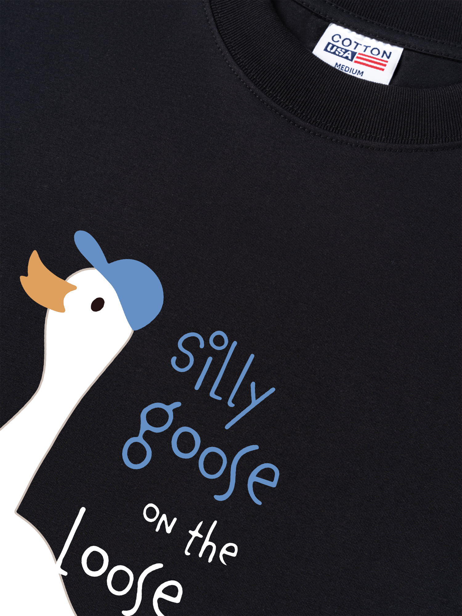 Áo Thun Relaxed Fit Farm Silly Goose On The Loose