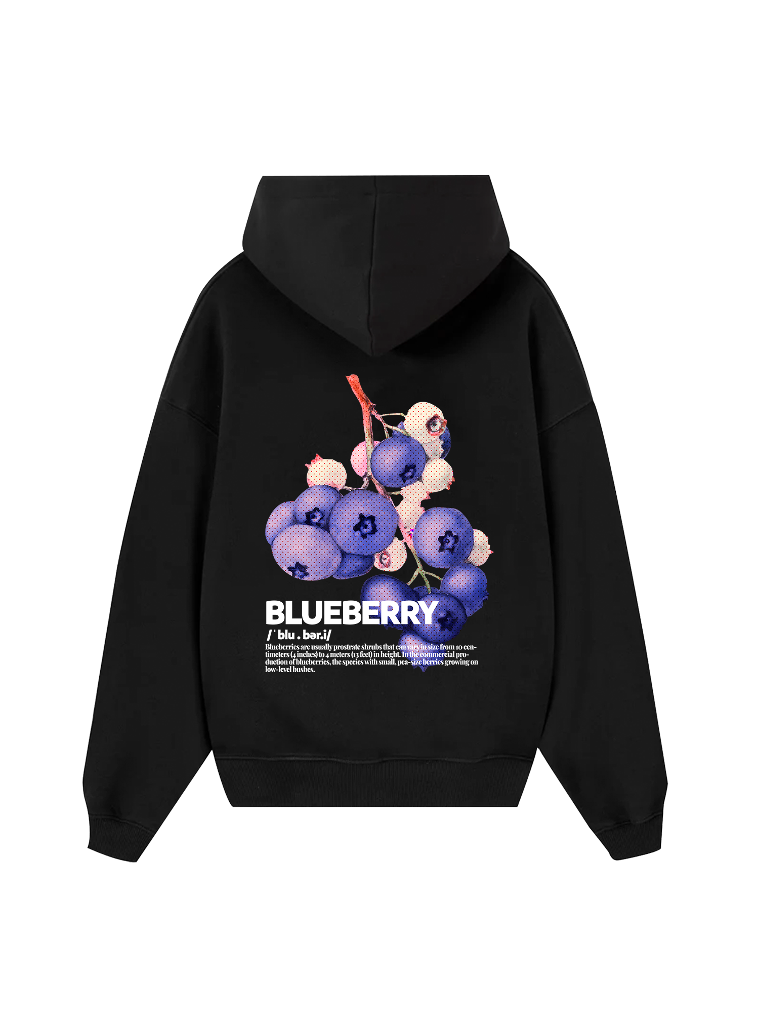 Tropical Blue Berry Retro Hoodie