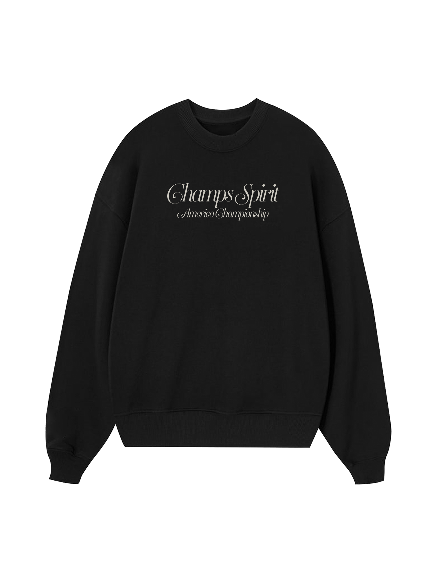 Champions America Spirit Sweater
